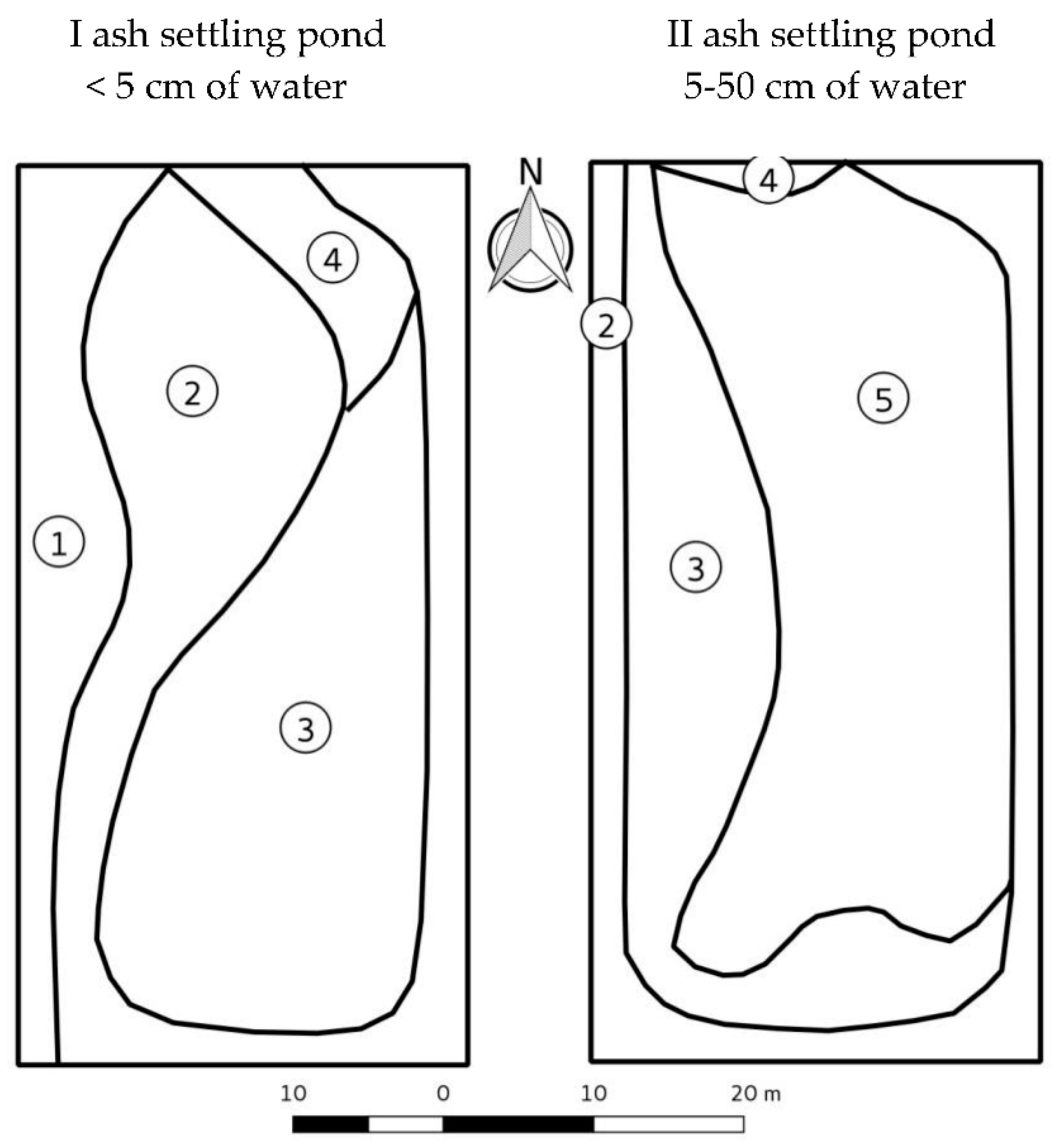 Plants 10 00616 g003