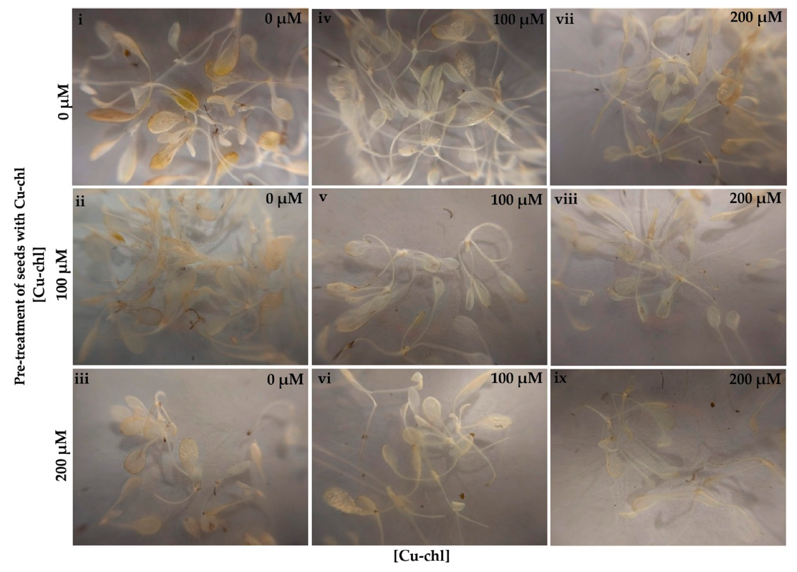 Plants 10 00625 g003