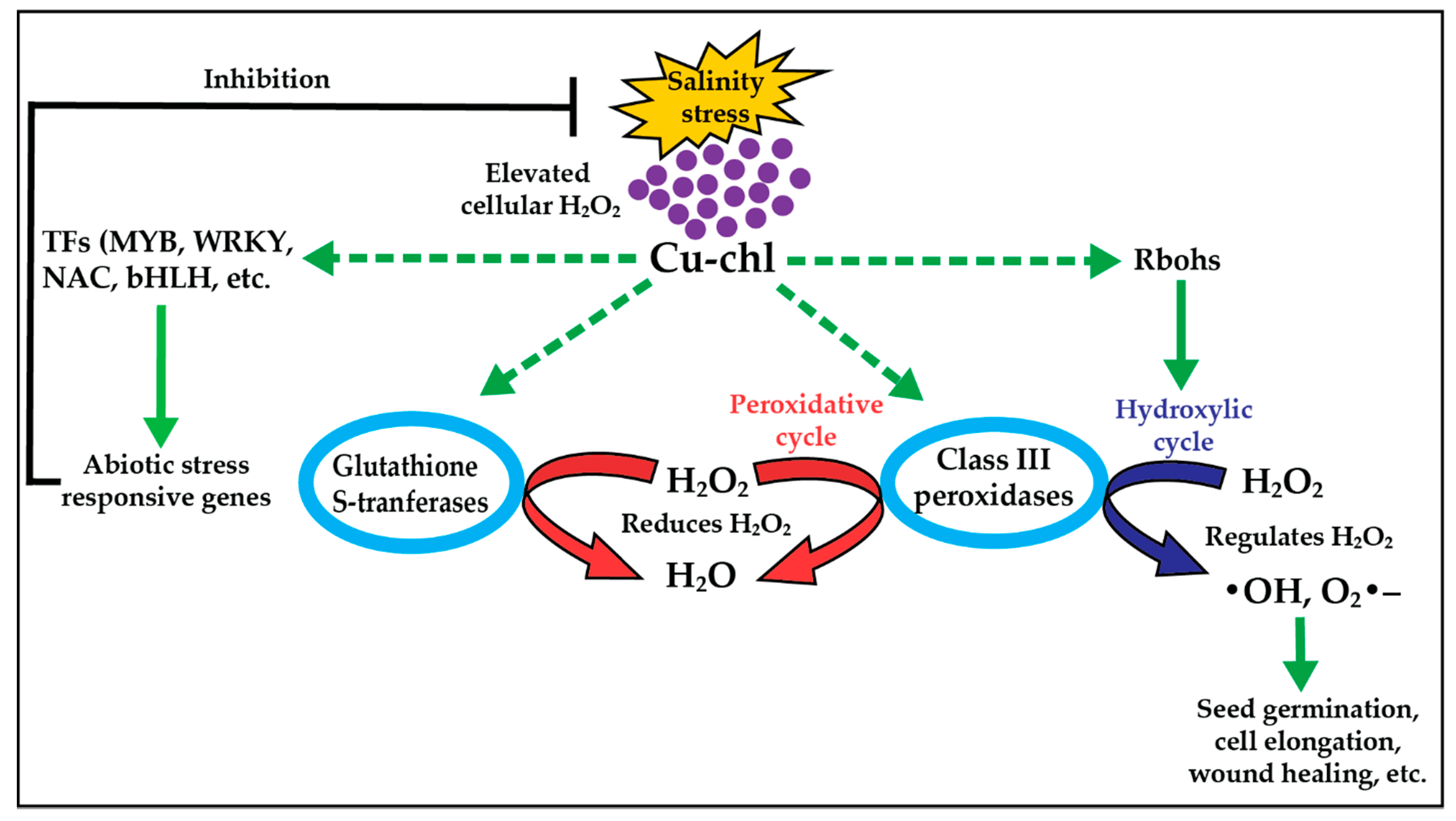 Plants 10 00625 g008