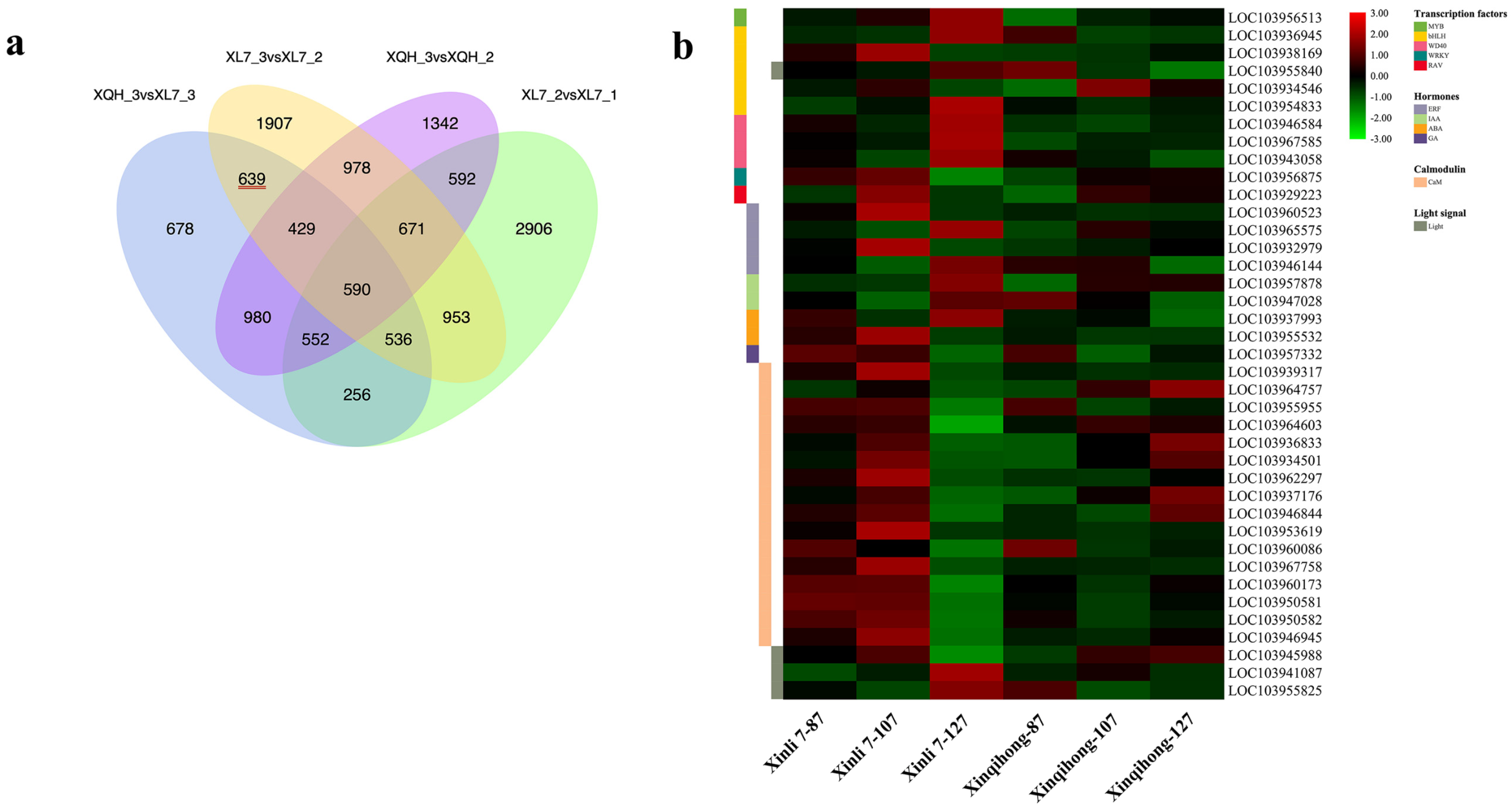 Plants 10 00626 g003