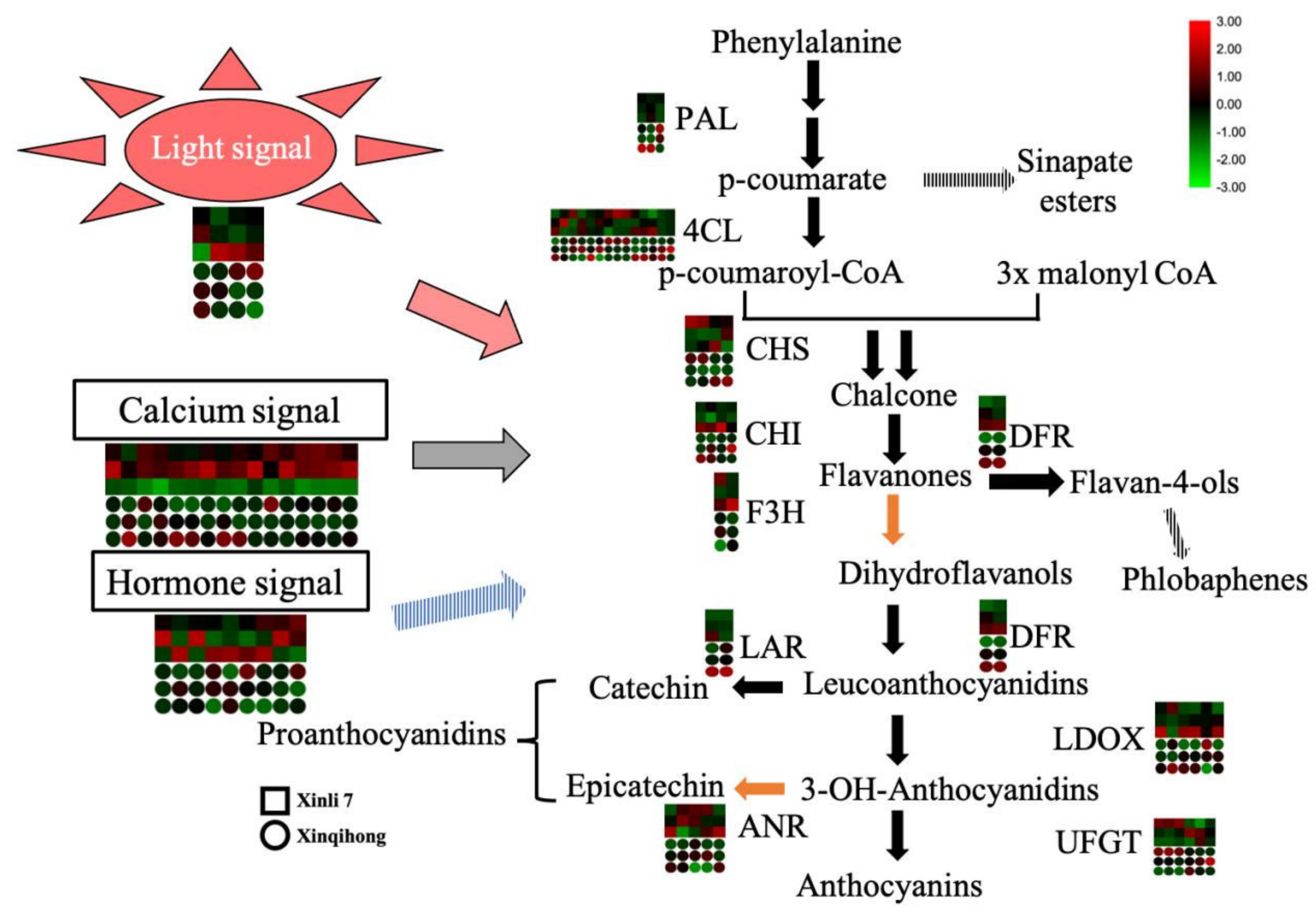 Plants 10 00626 g004