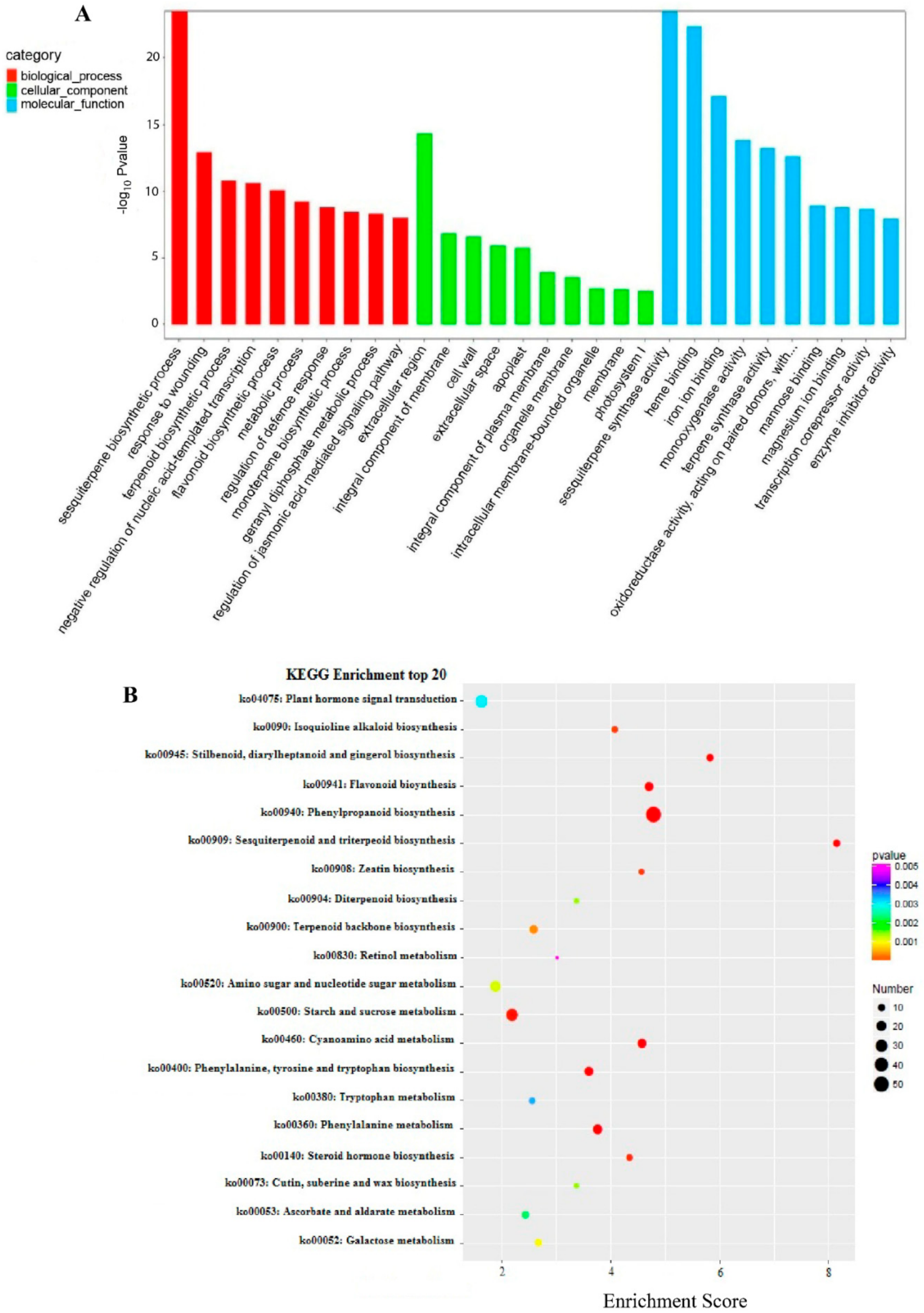 Plants 10 00633 g002 Plants 10 00633 g002