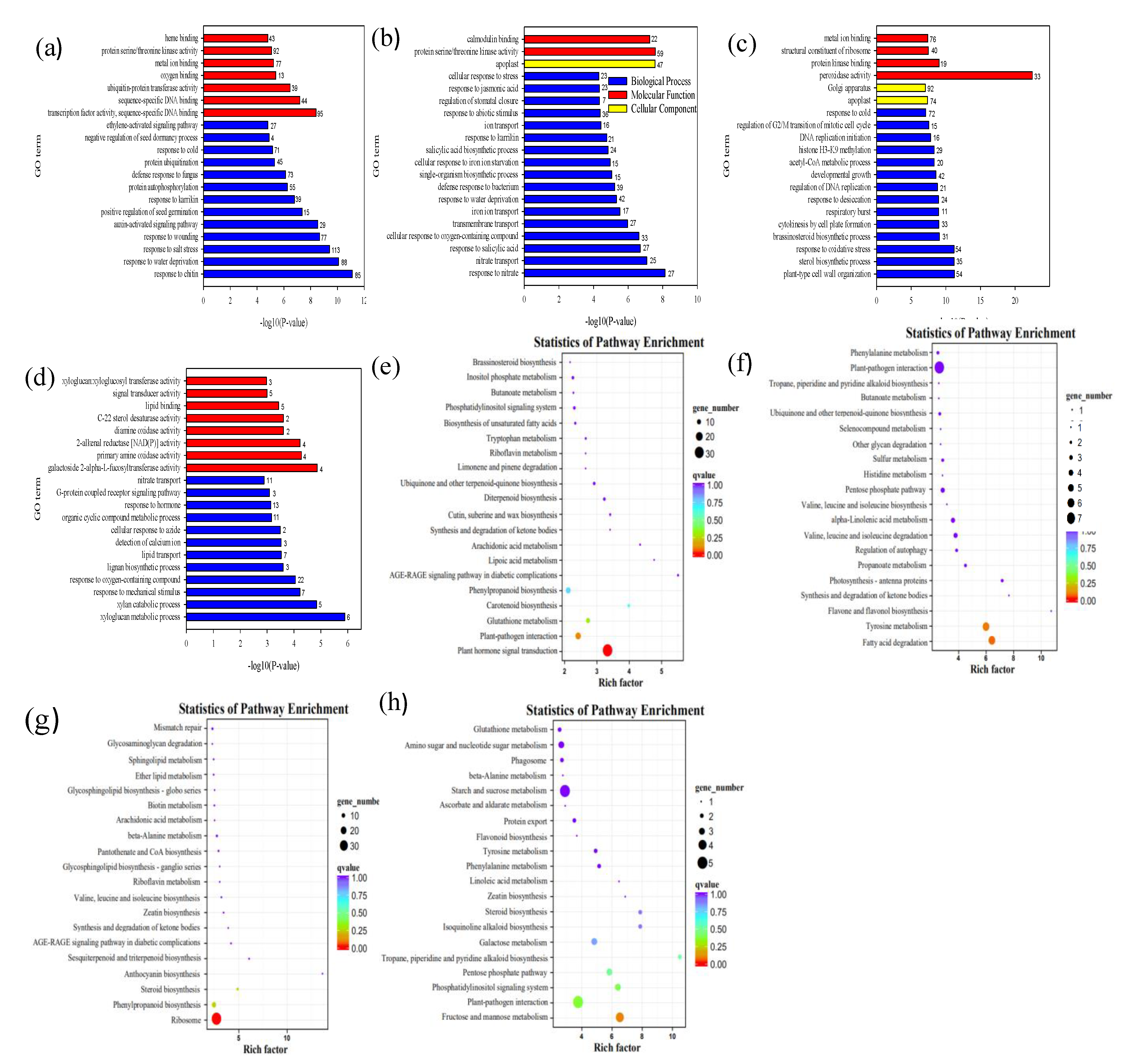 Plants 10 00634 g006