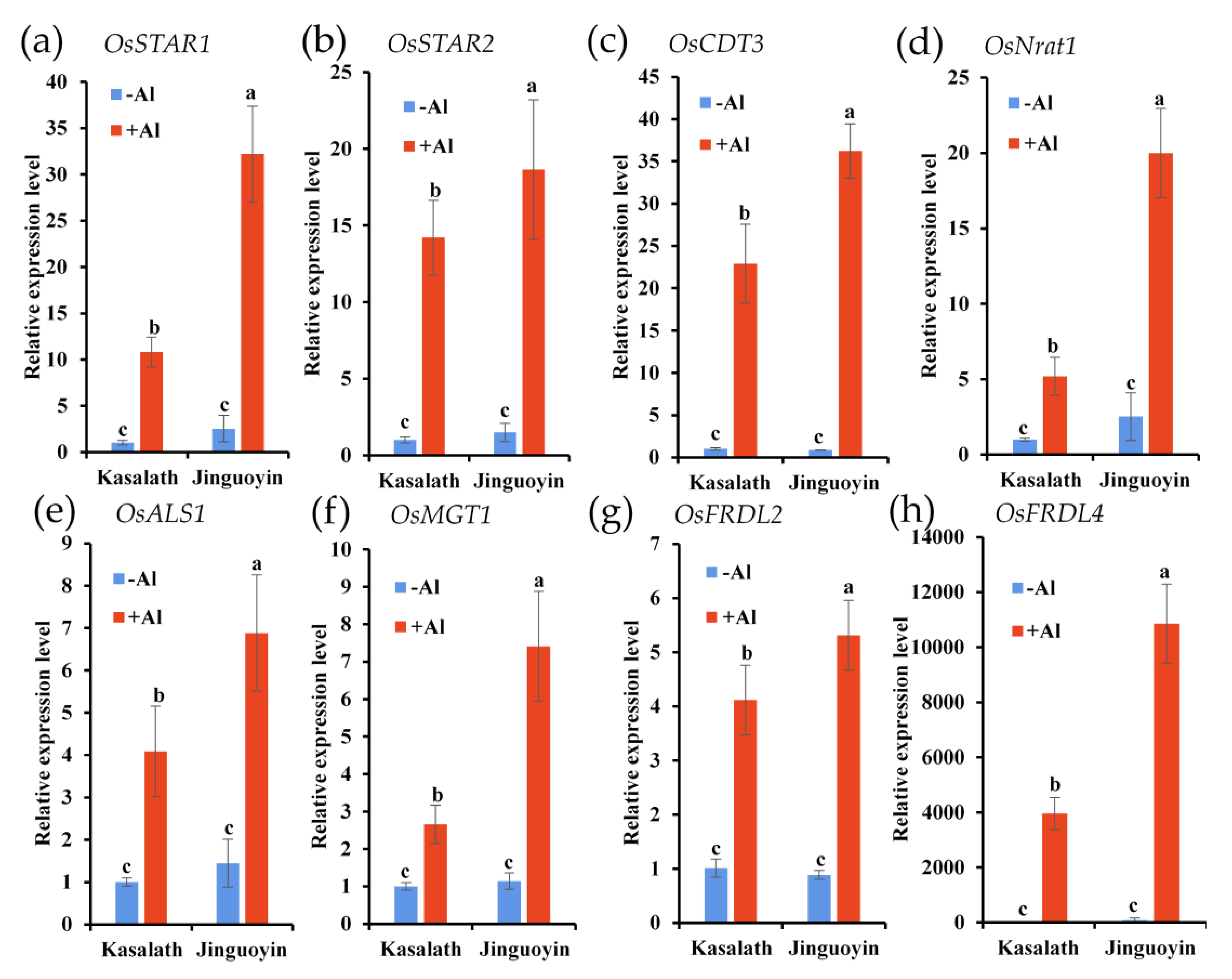 Plants 10 00634 g007