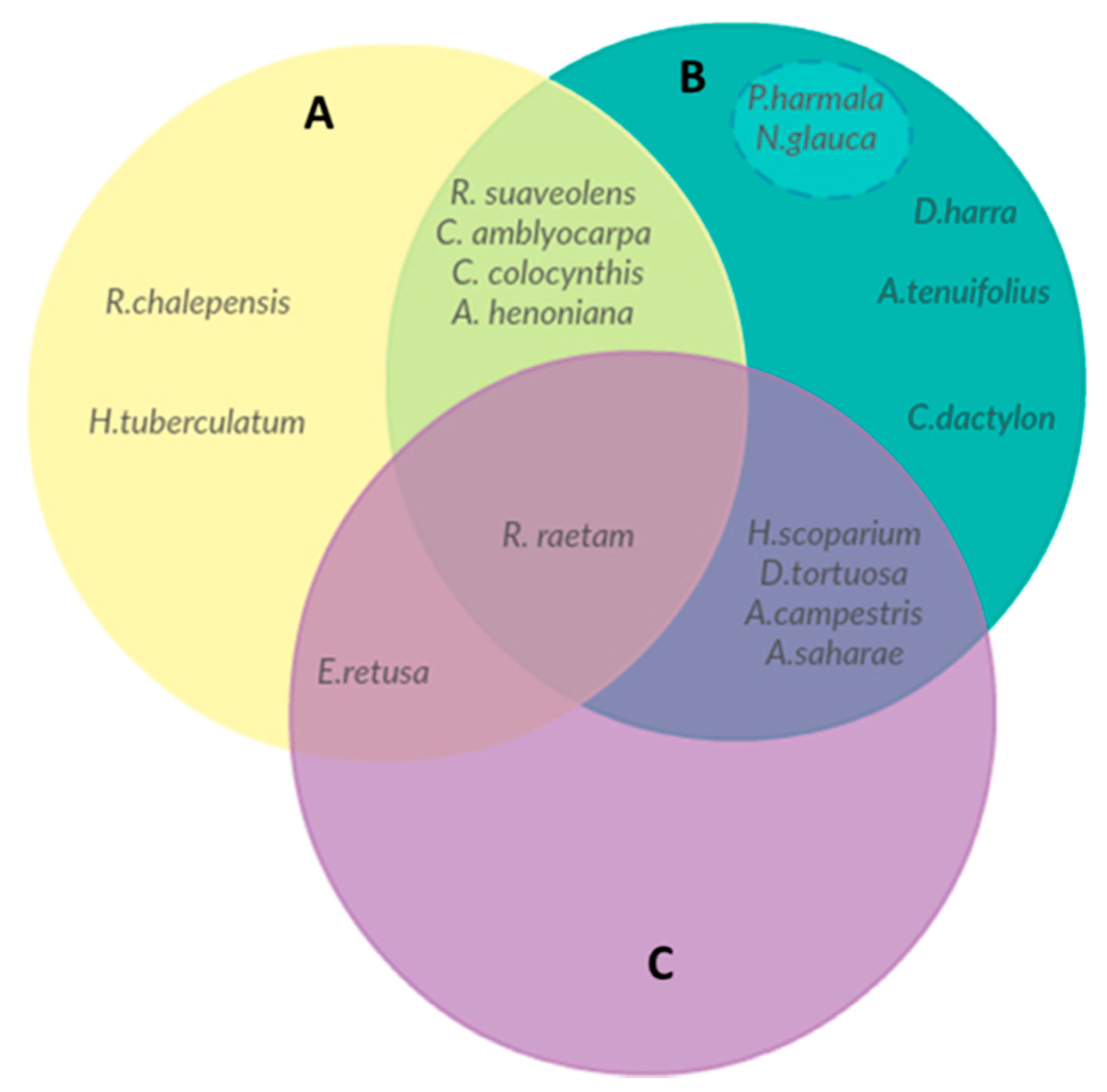 Plants Free Full Text Ethnobotanical Study On Plant Used By Semi Nomad Descendants Community In Ouled Dabbeb Southern Tunisia Html