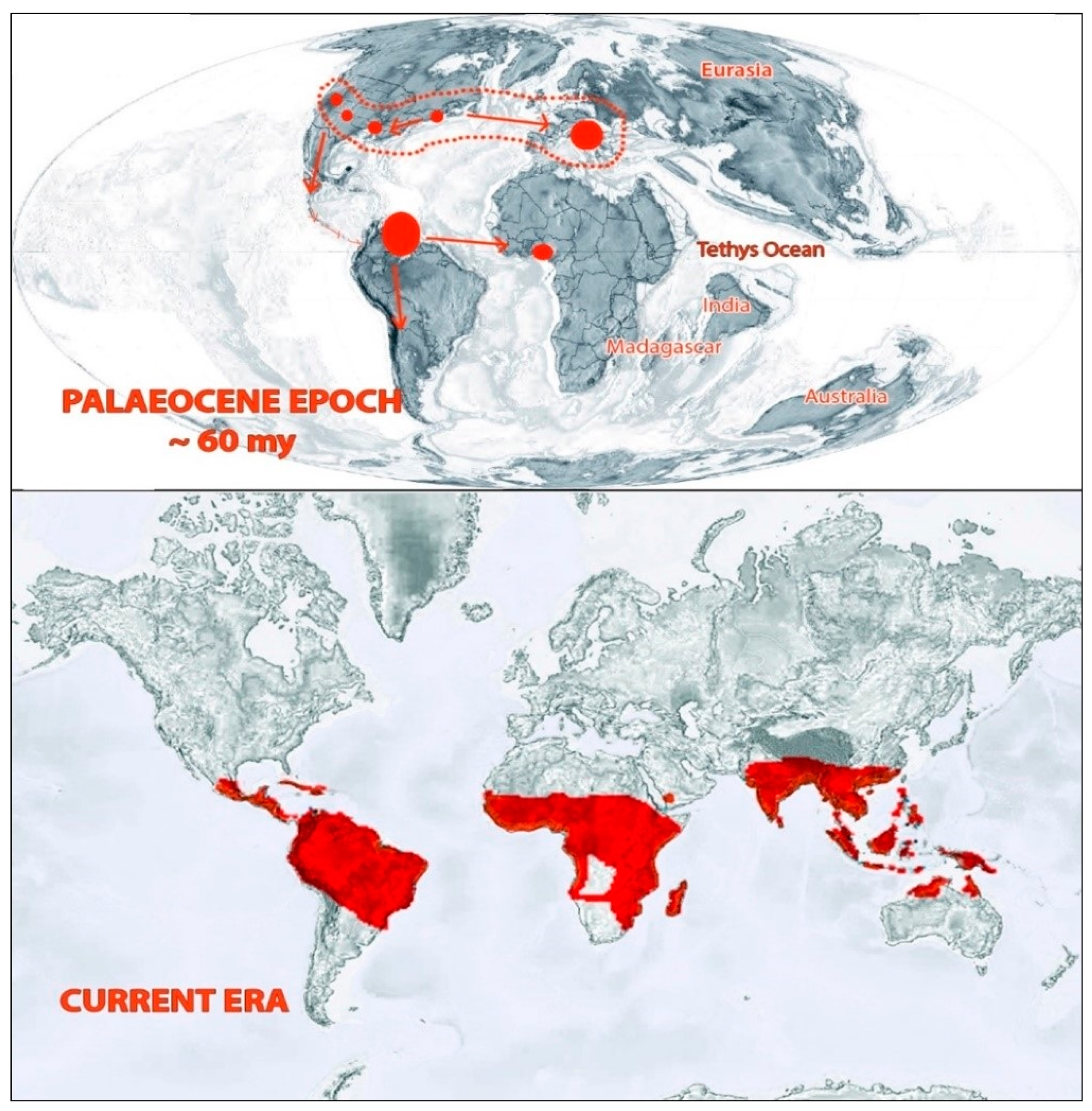 Plants 10 00651 g003