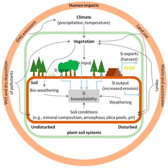 Plants | Free Full-Text | Silicon in the Soil–Plant Continuum 