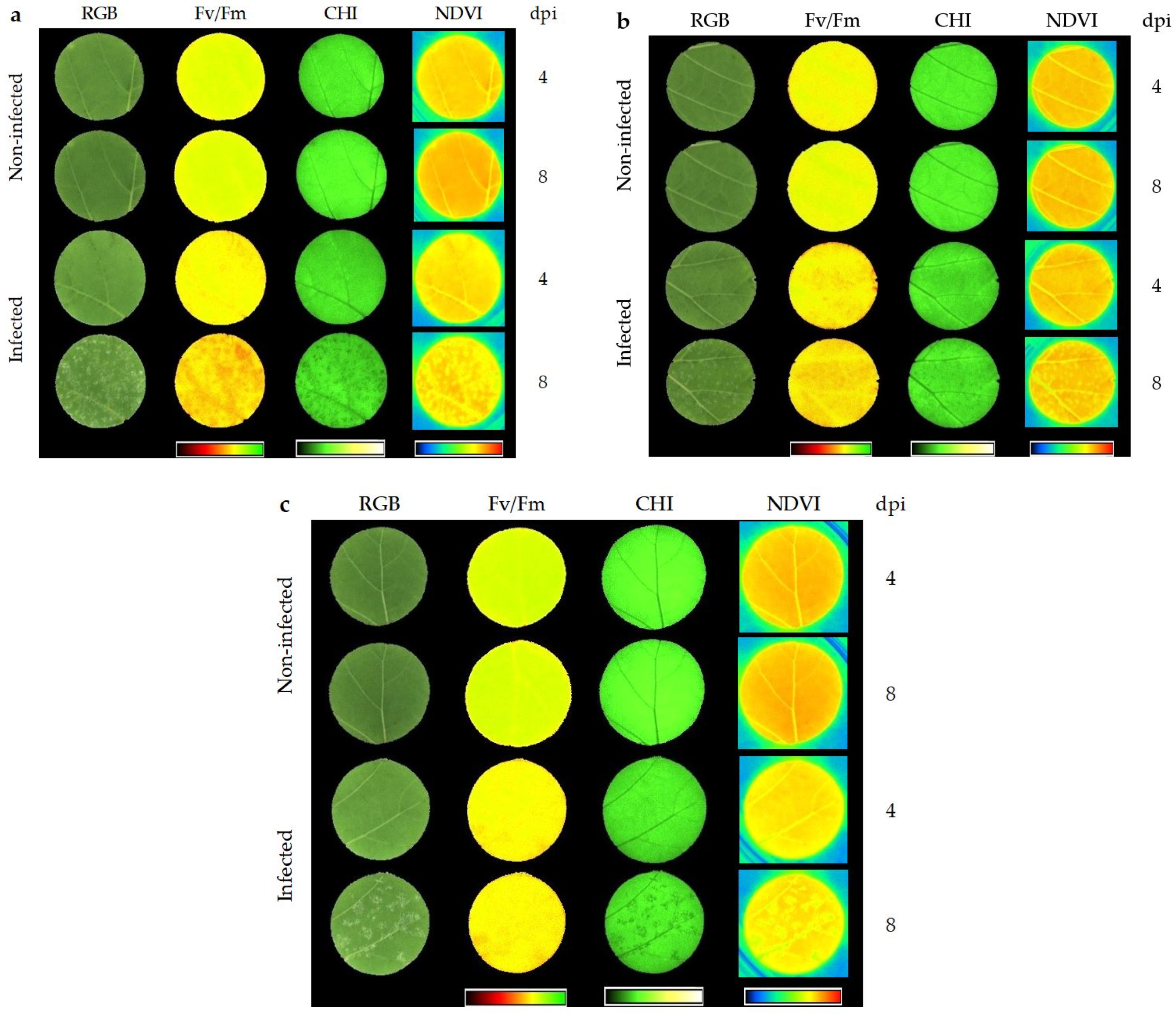 Plants 10 00661 g003 Plants 10 00661 g003