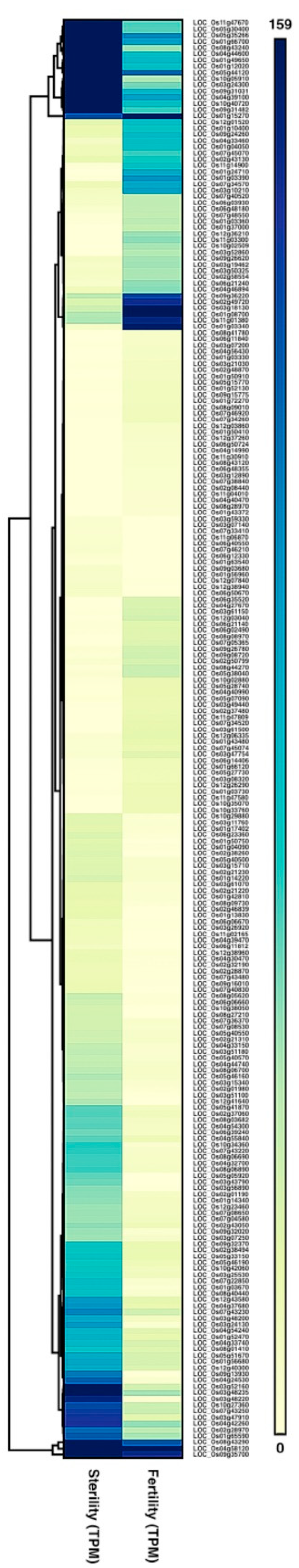Plants 10 00663 g002 Plants 10 00663 g002