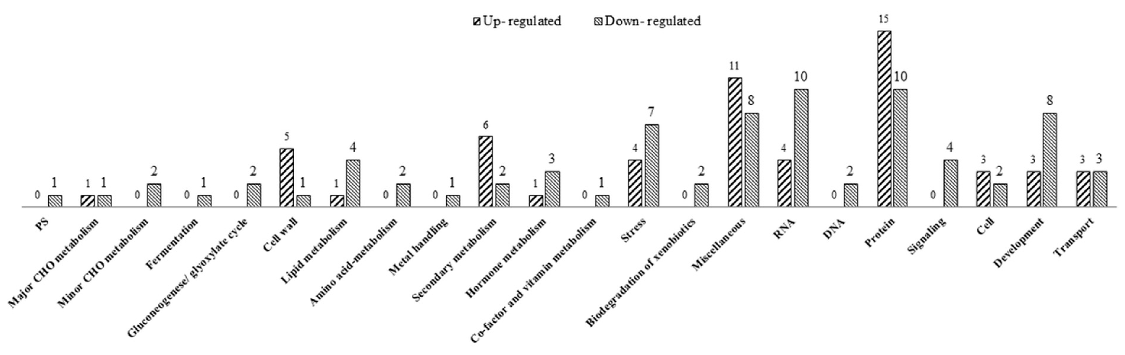 Plants 10 00663 g003 Plants 10 00663 g003