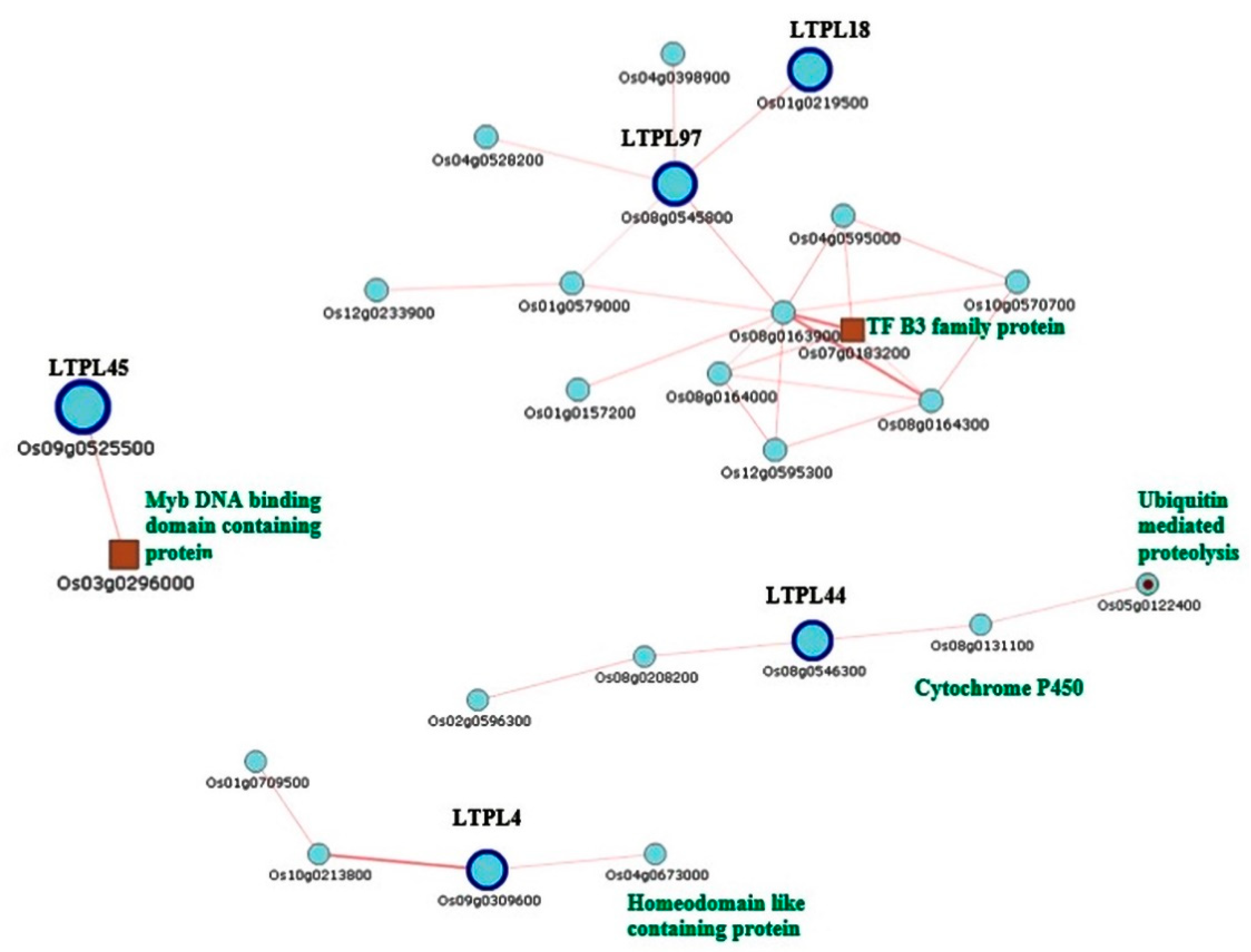 Plants 10 00663 g006 Plants 10 00663 g006