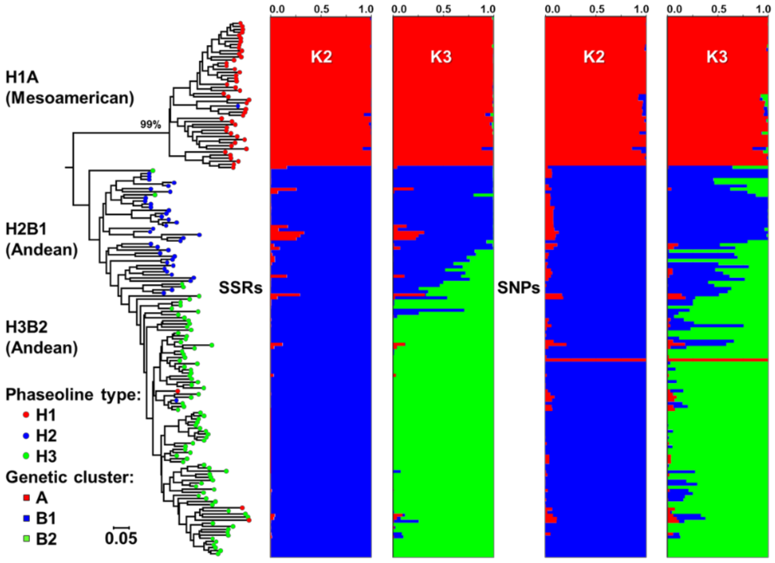 Plants 10 00665 g001