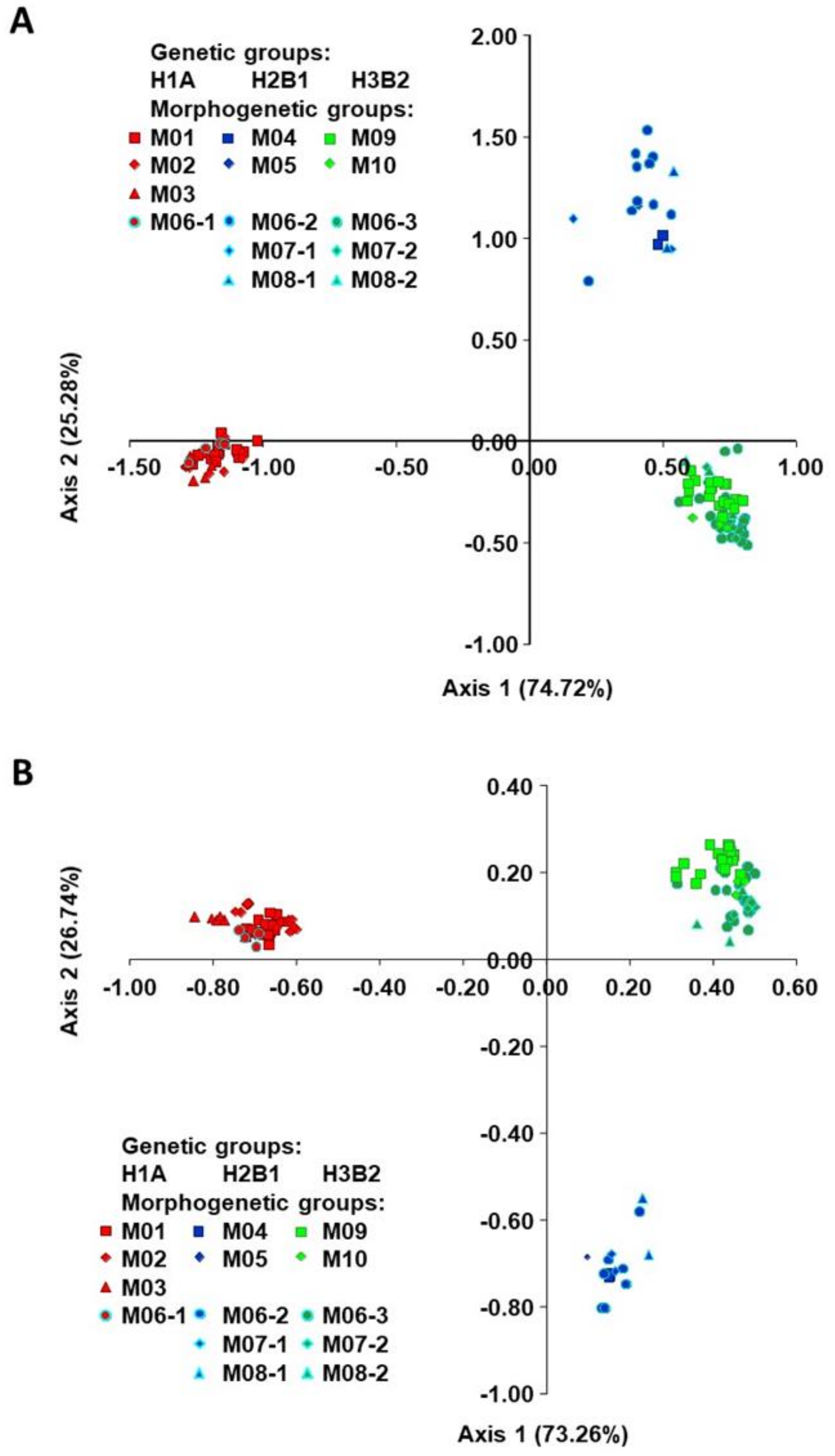 Plants 10 00665 g002