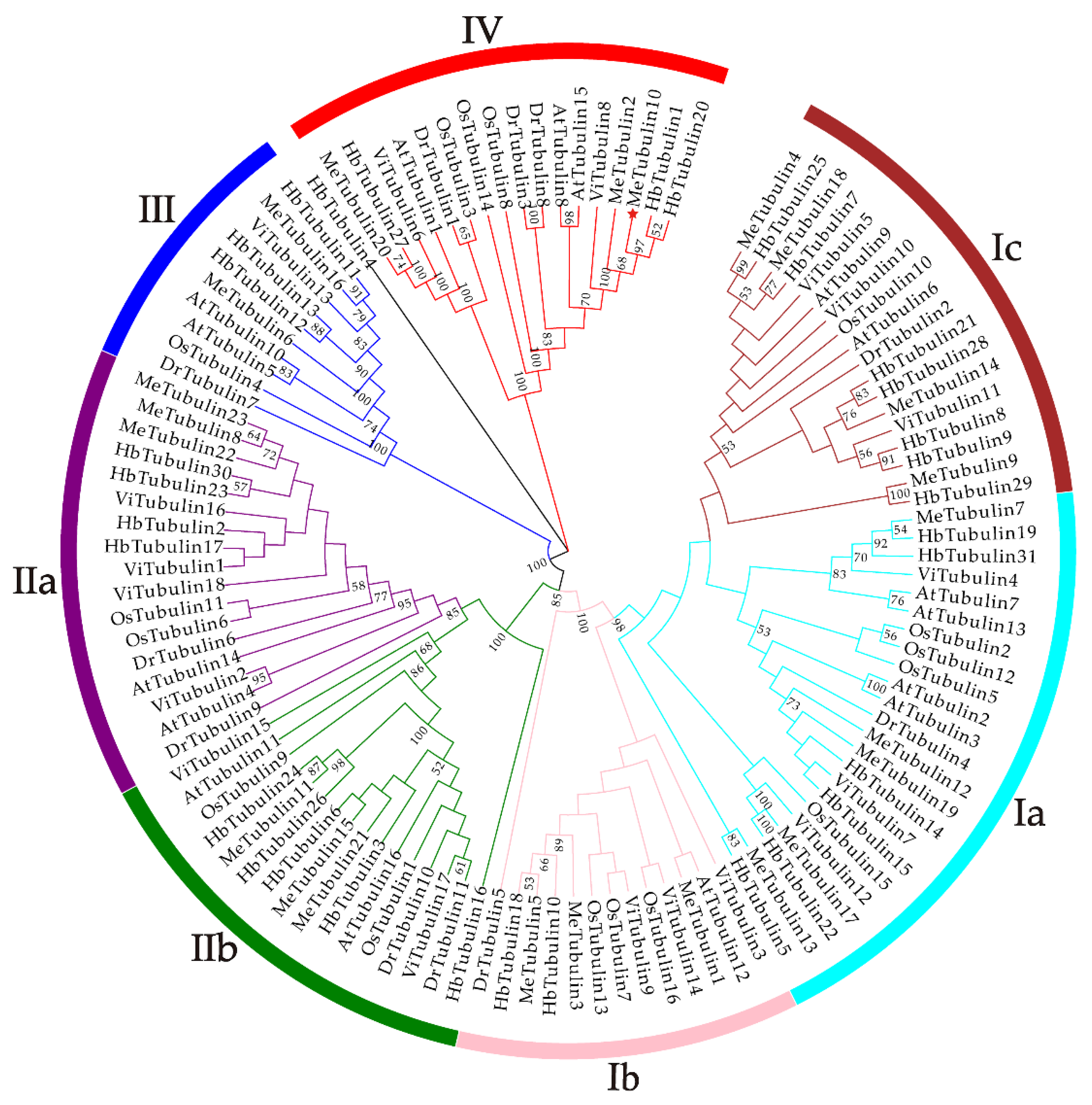 Plants 10 00668 g001 Plants 10 00668 g001