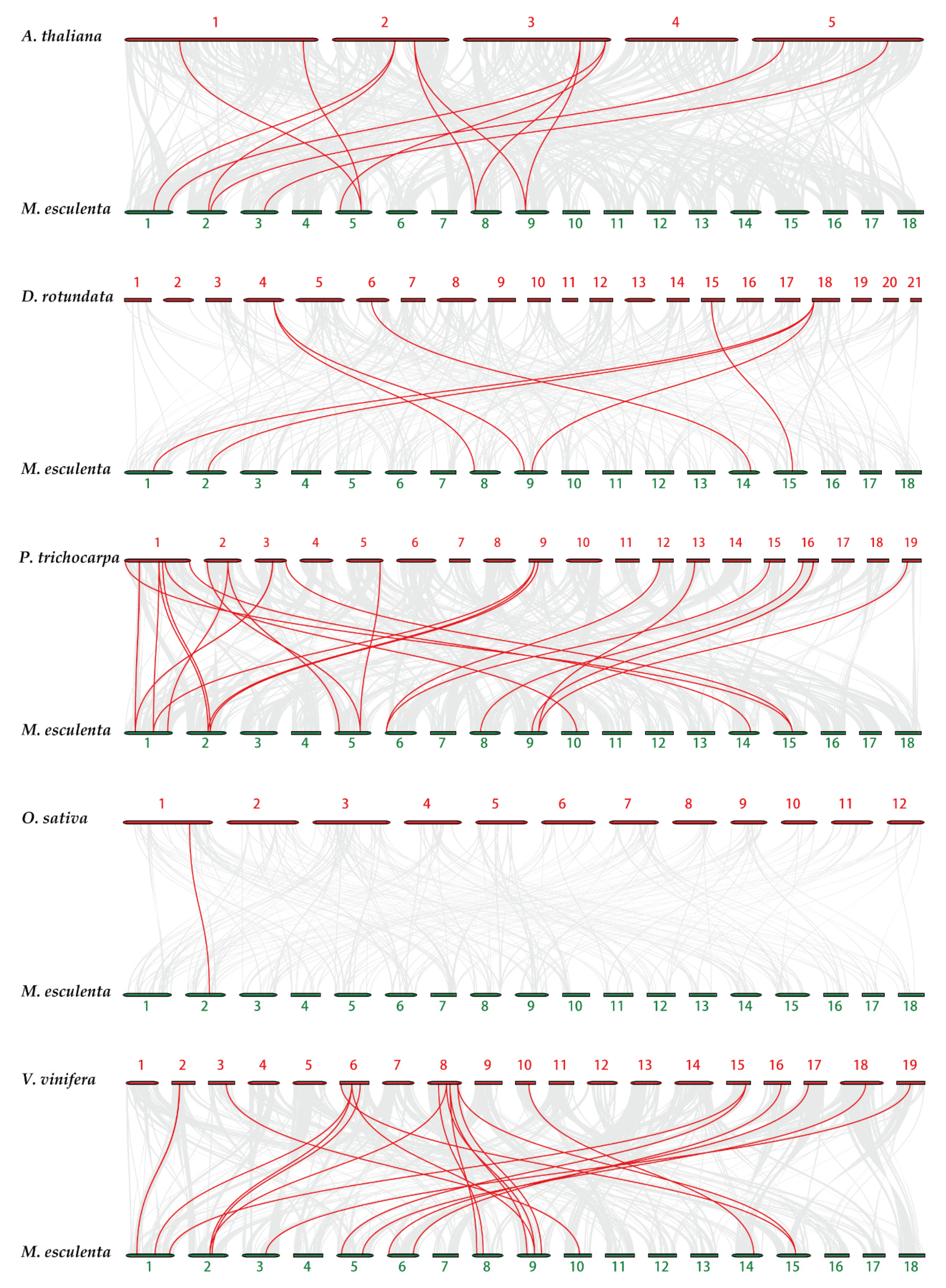 Plants 10 00668 g005 Plants 10 00668 g005