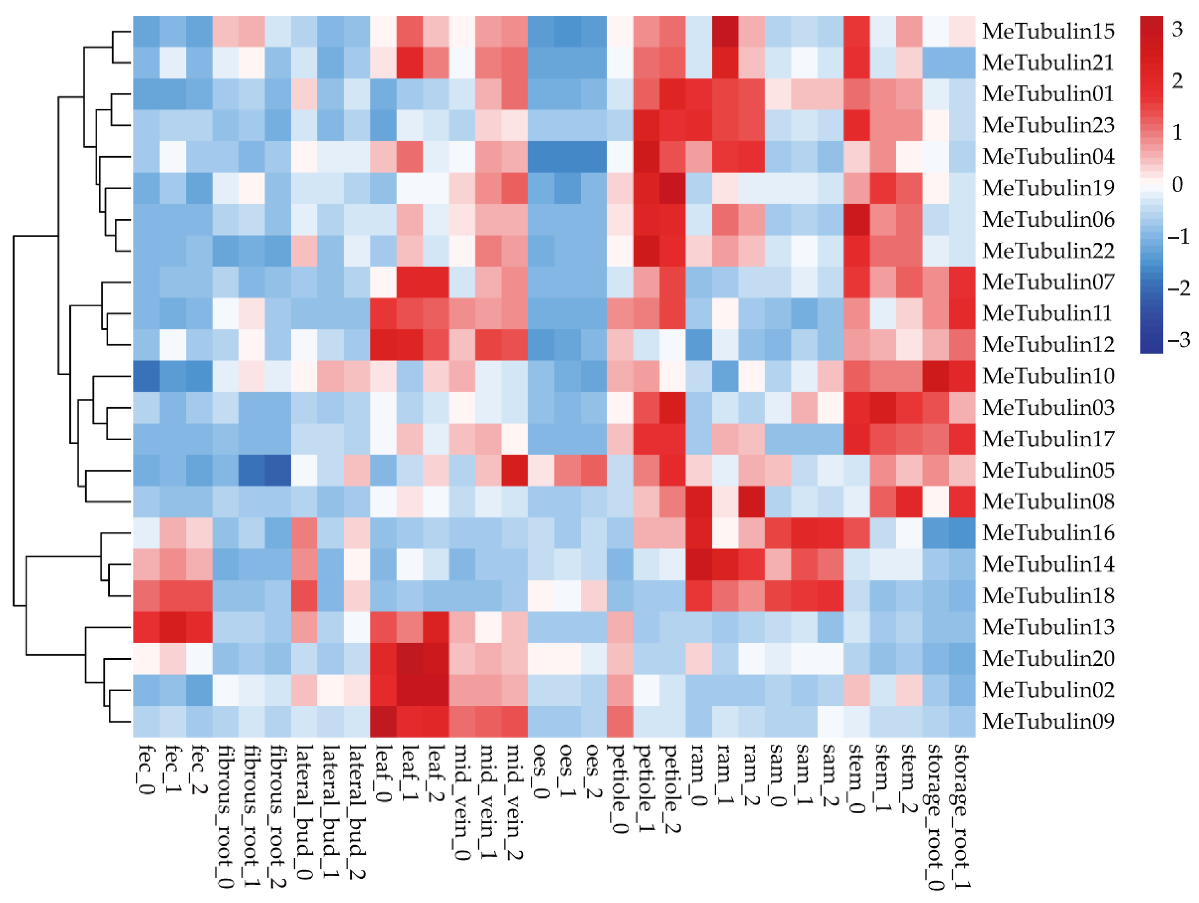 Plants 10 00668 g006 Plants 10 00668 g006