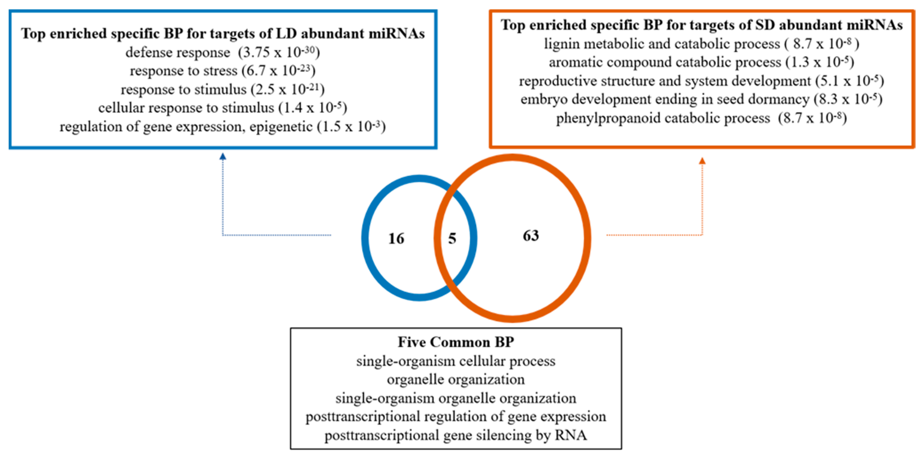 Plants 10 00669 g002 Plants 10 00669 g002