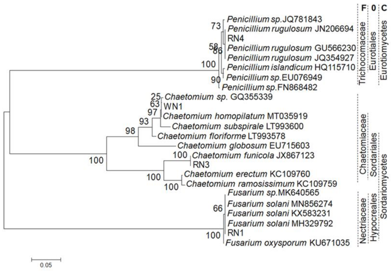 Plants 10 00672 g003 Plants 10 00672 g003