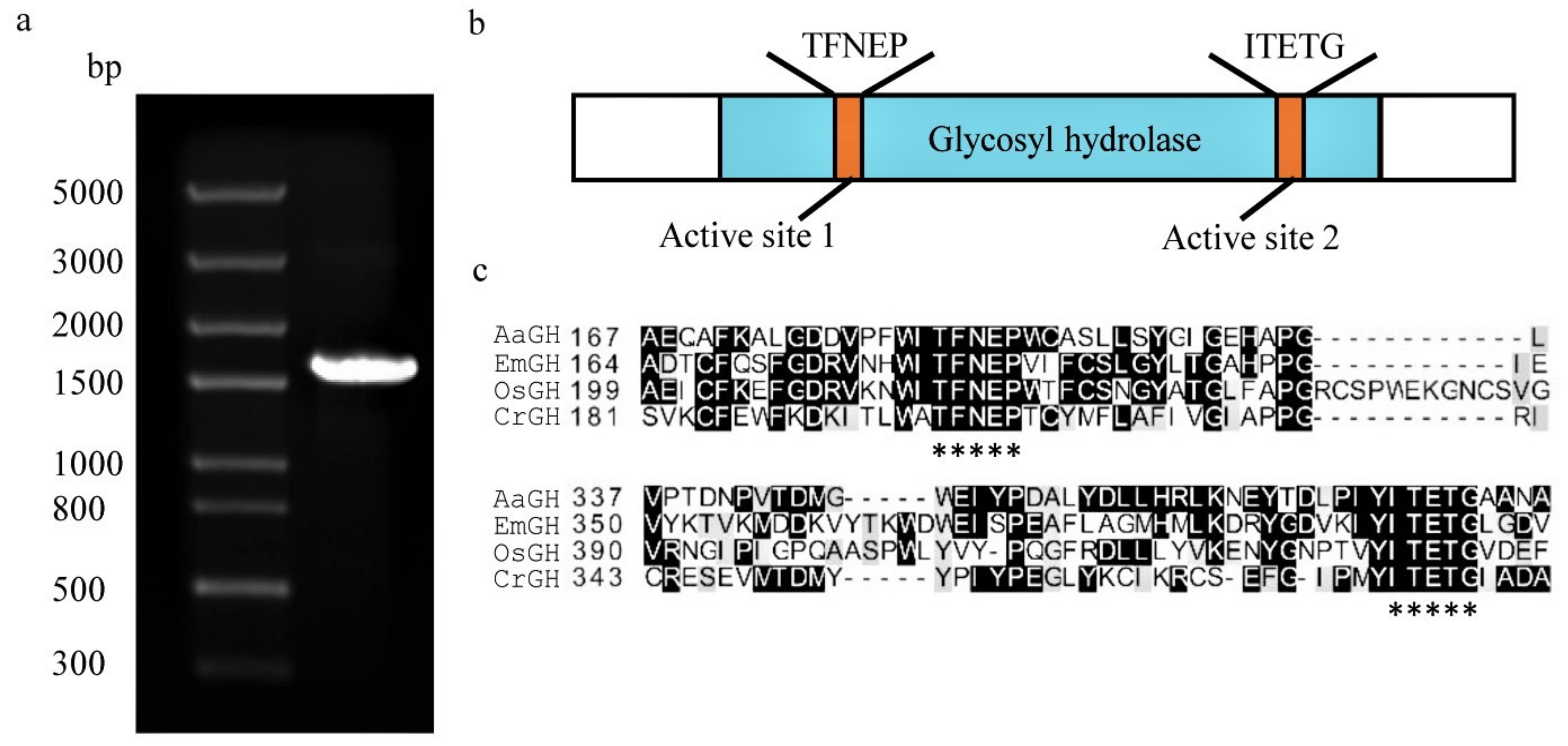 Plants 10 00675 g001 Plants 10 00675 g001