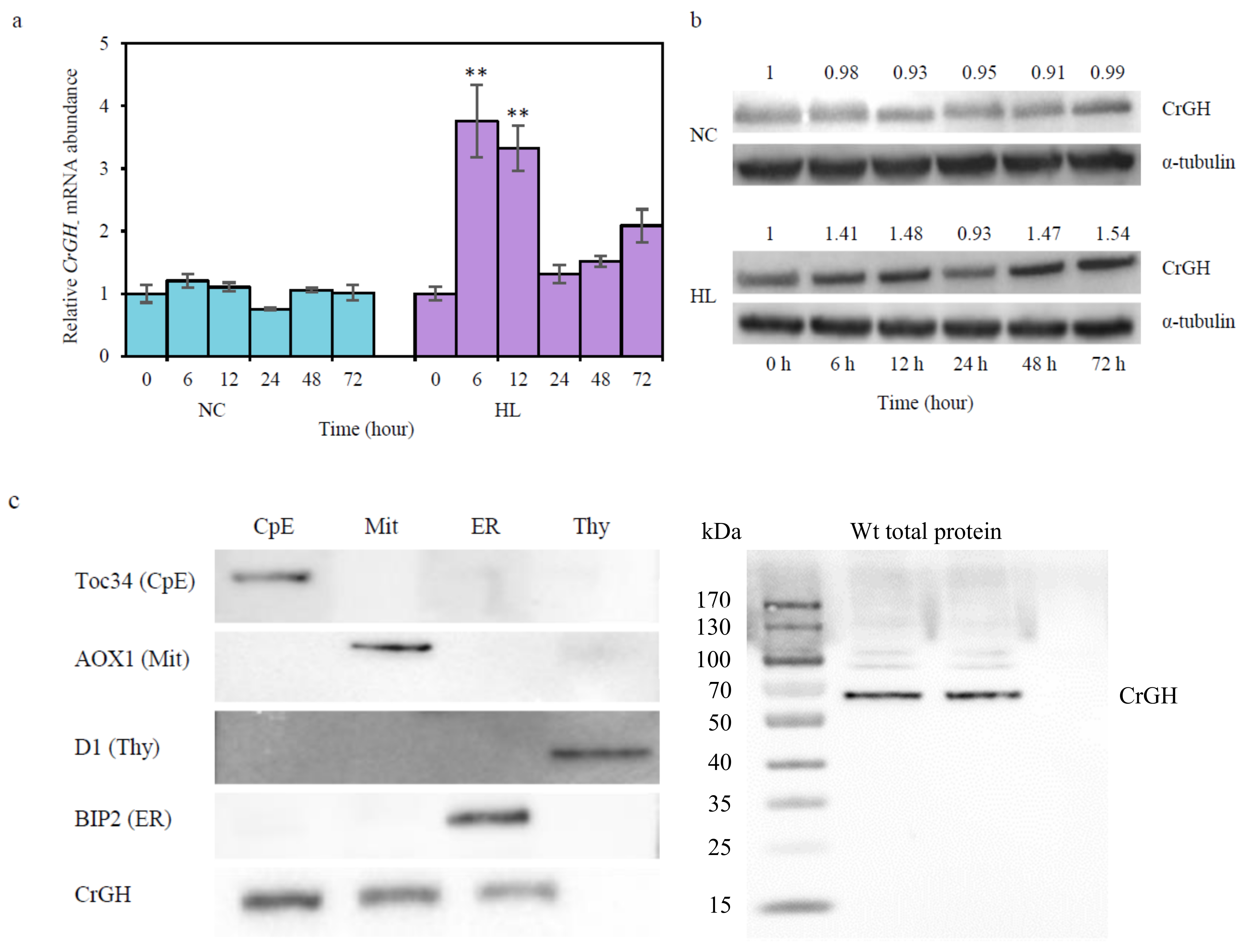 Plants 10 00675 g005 Plants 10 00675 g005