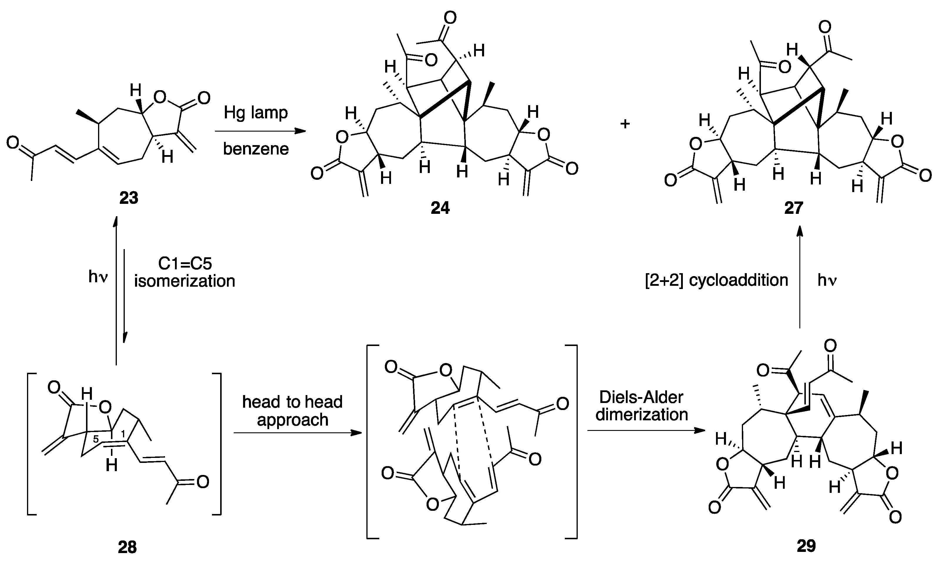 Plants 10 00677 sch004