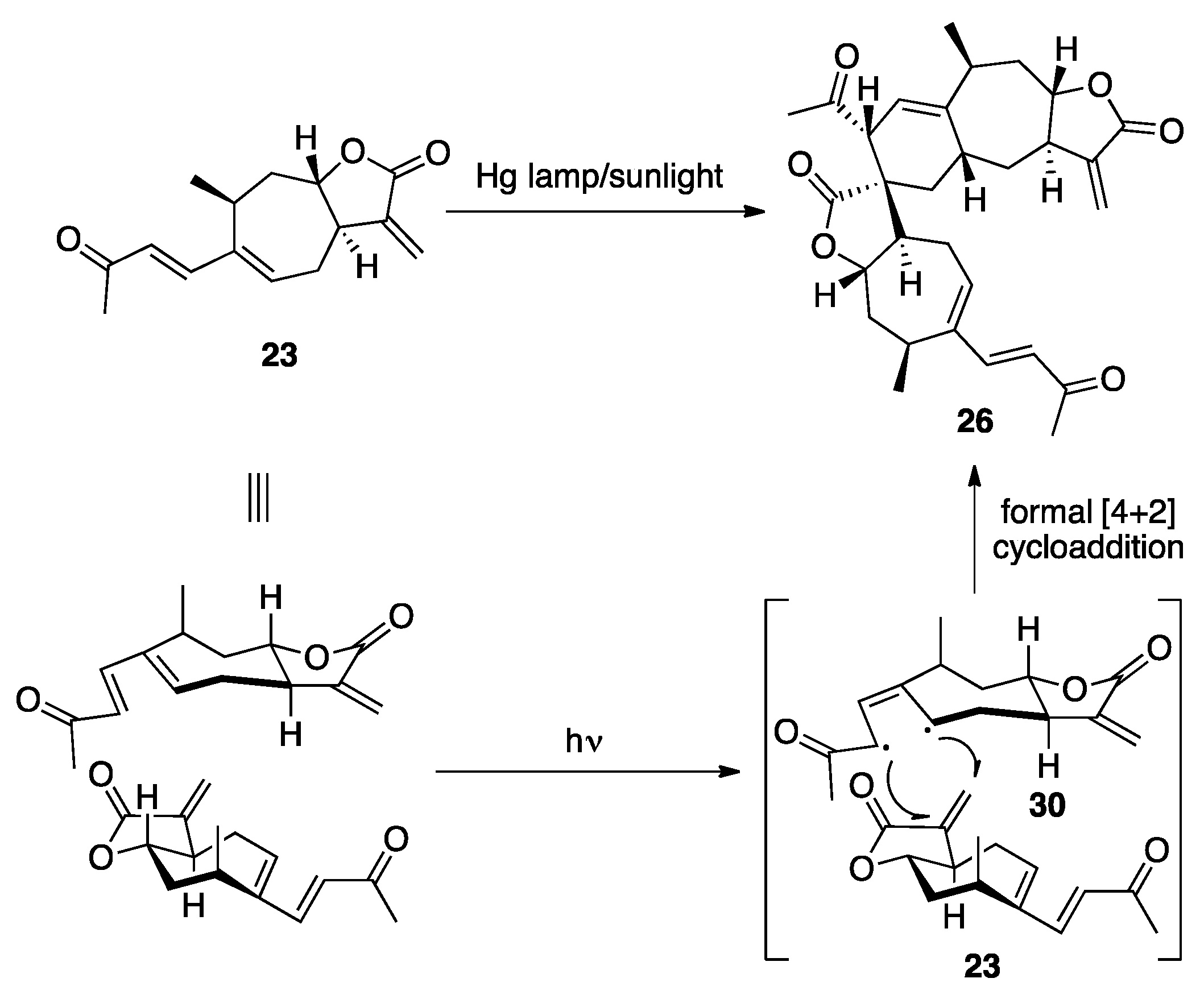 Plants 10 00677 sch005