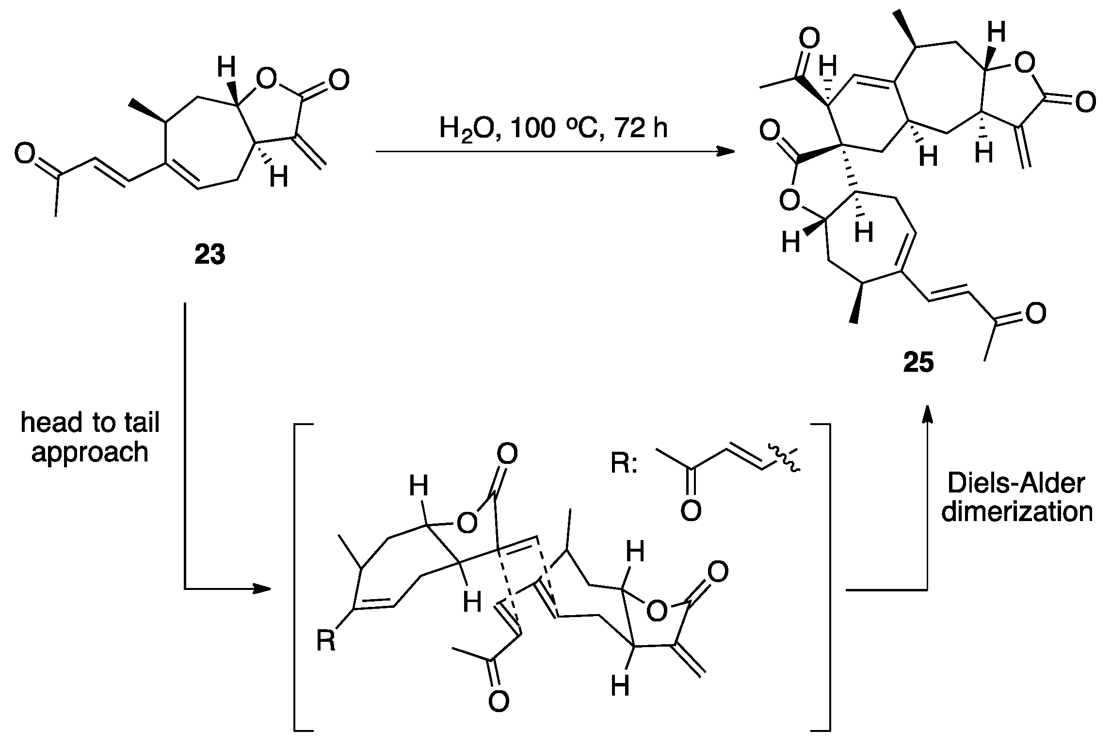 Plants 10 00677 sch006