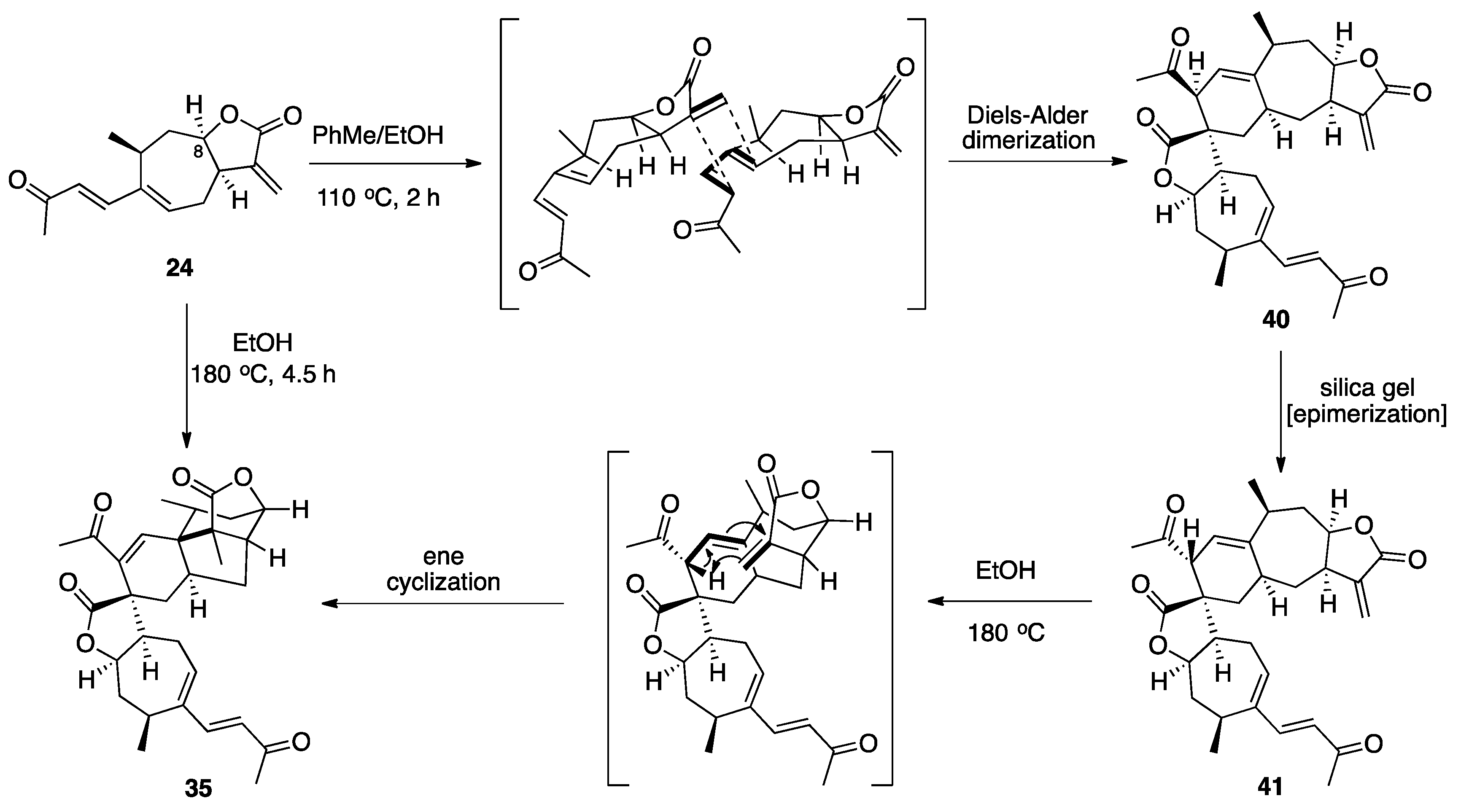 Plants 10 00677 sch007