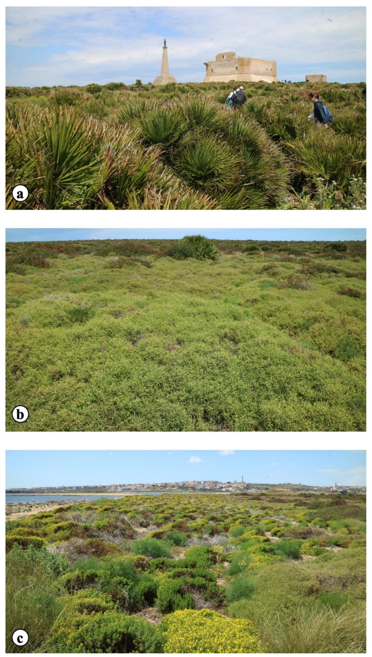 Plants 10 00680 g0a1