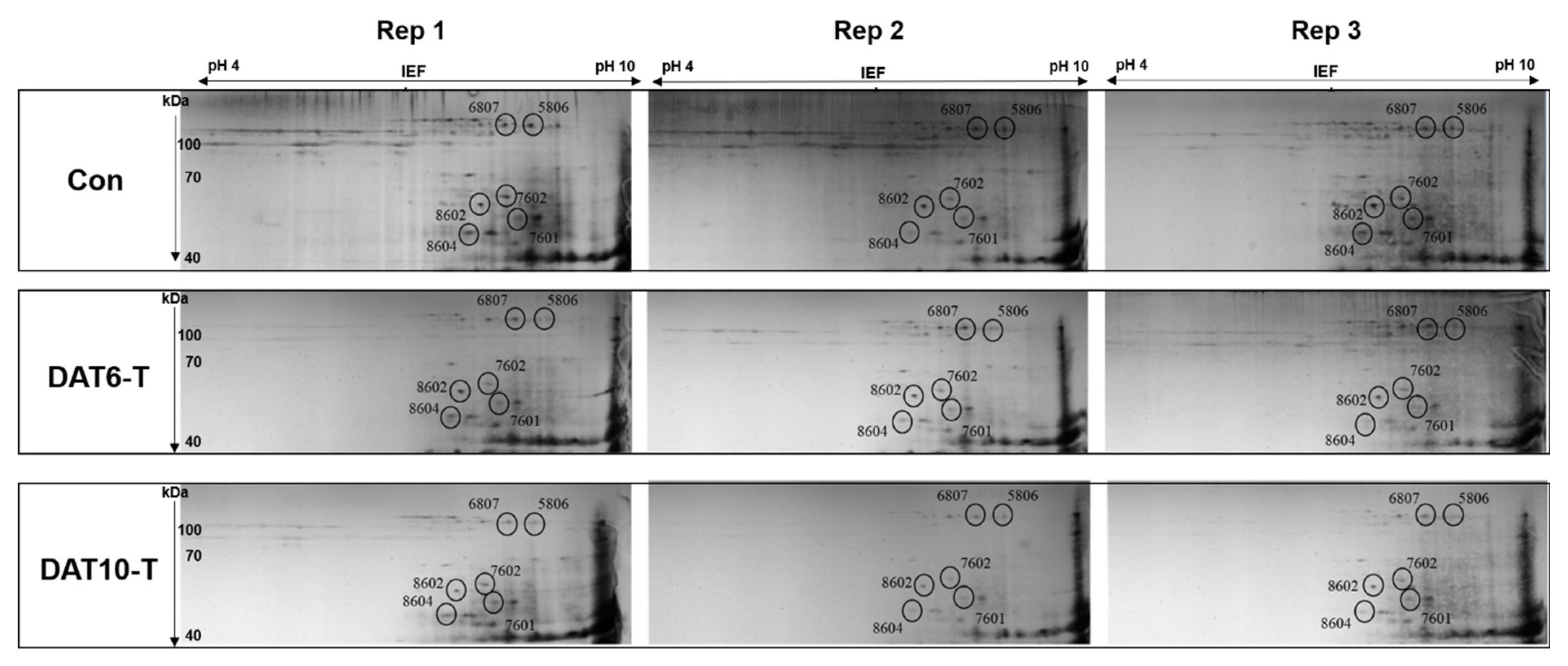 Plants 10 00687 g003 Plants 10 00687 g003