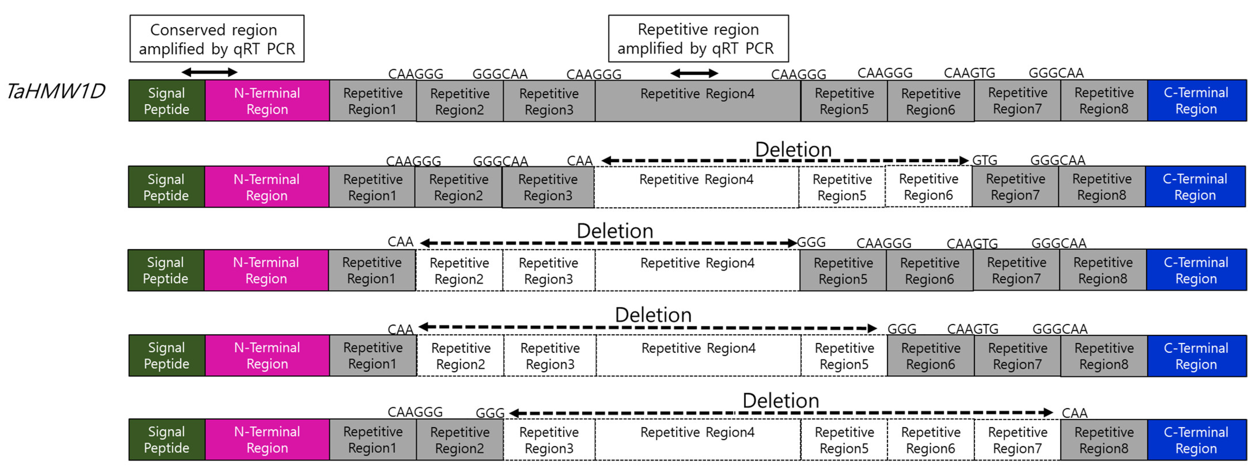 Plants 10 00687 g008 Plants 10 00687 g008