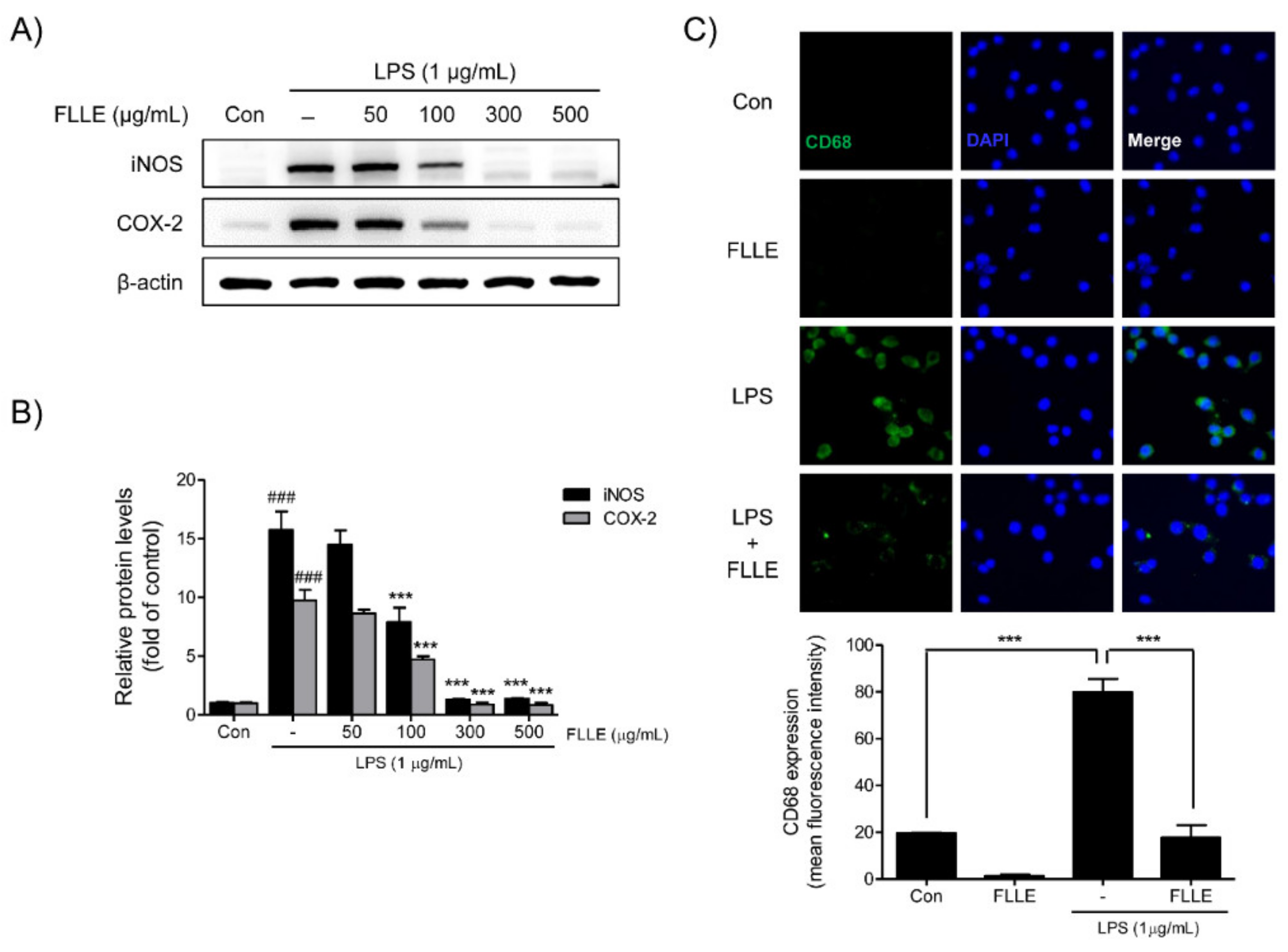 Plants 10 00688 g003 Plants 10 00688 g003
