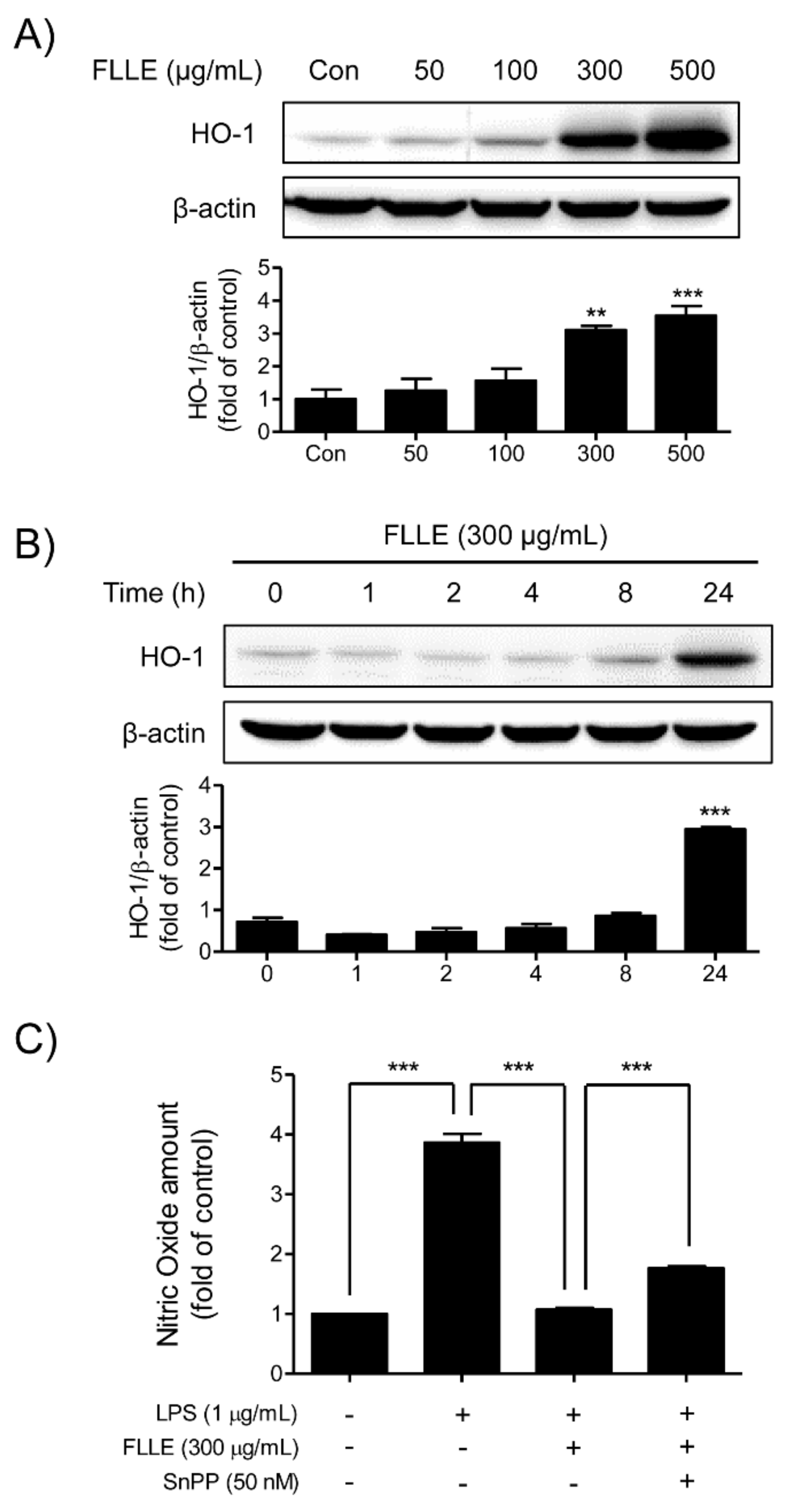 Plants 10 00688 g006 Plants 10 00688 g006