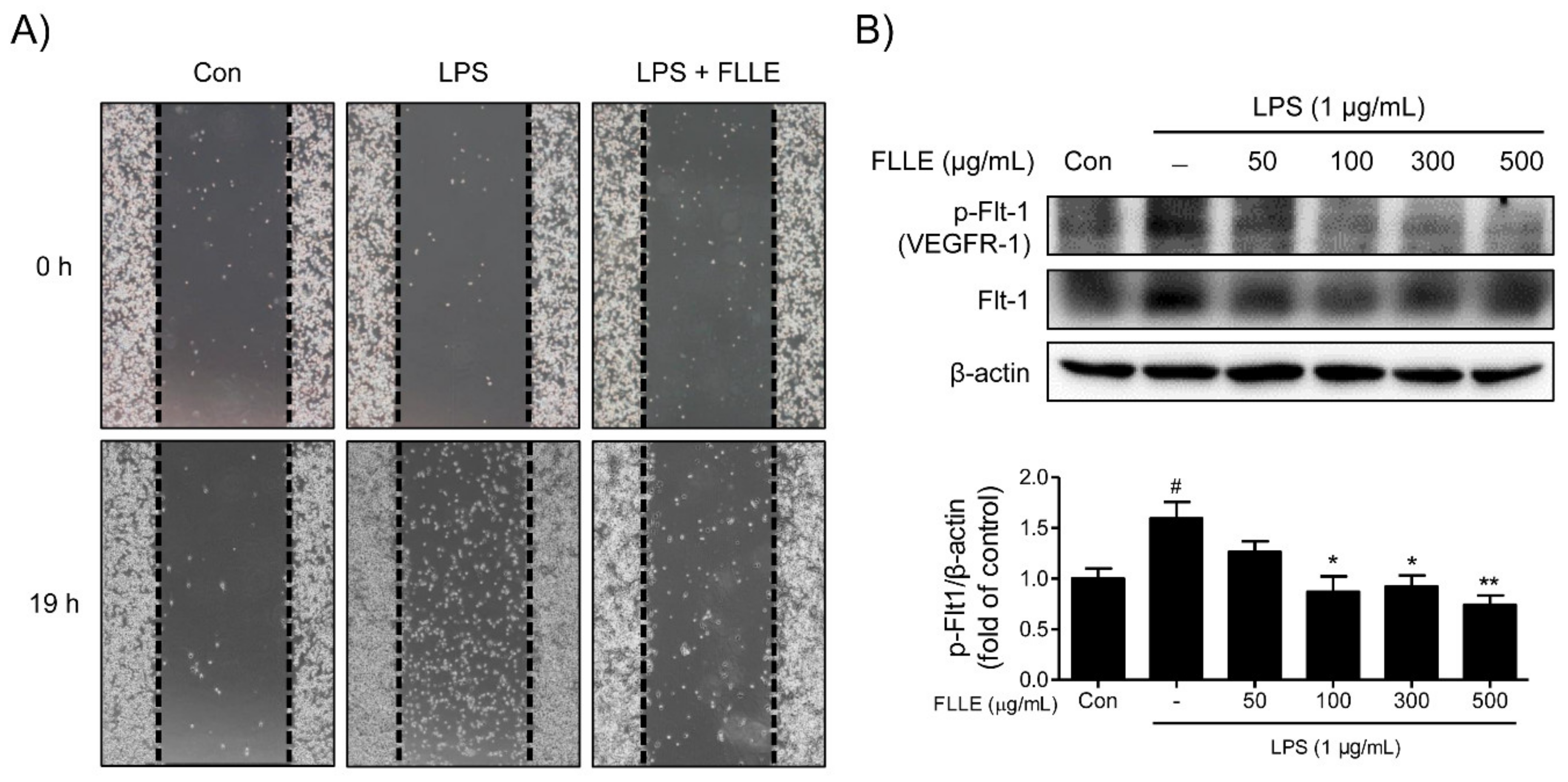 Plants 10 00688 g007 Plants 10 00688 g007