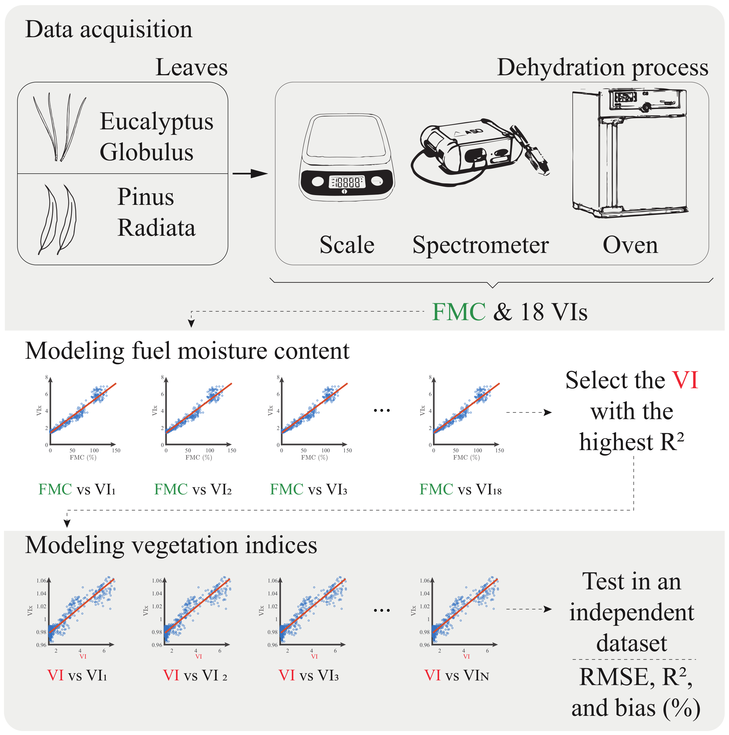 Plants 10 00697 g001 Plants 10 00697 g001