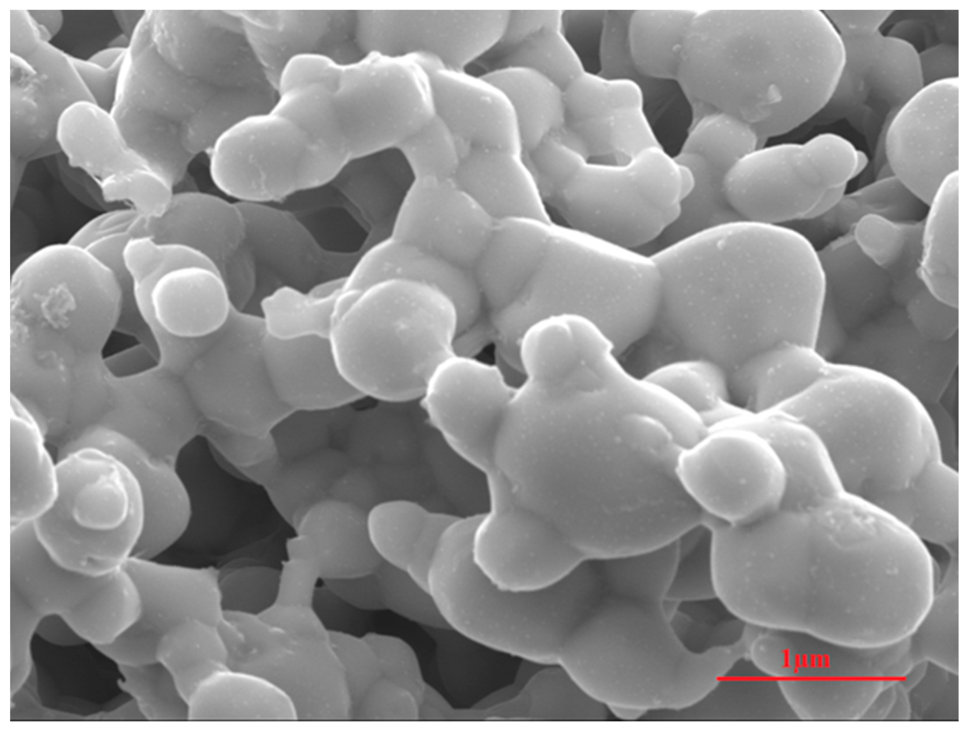 Plants 10 00698 g005 Plants 10 00698 g005