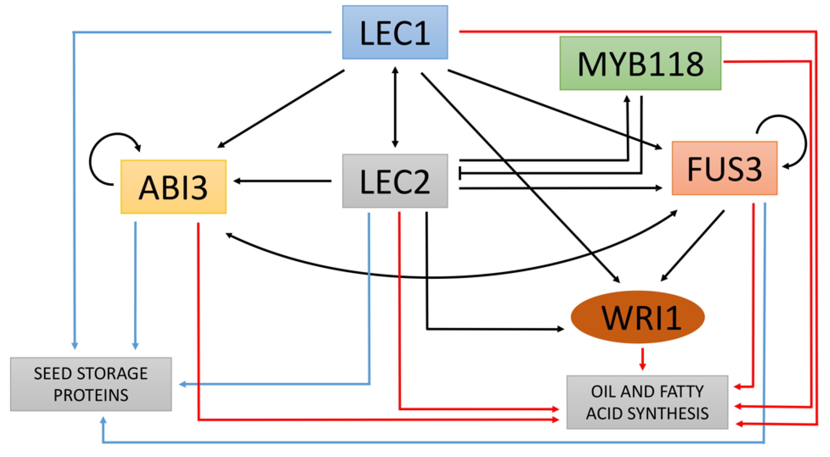Plants 10 00706 g003 Plants 10 00706 g003