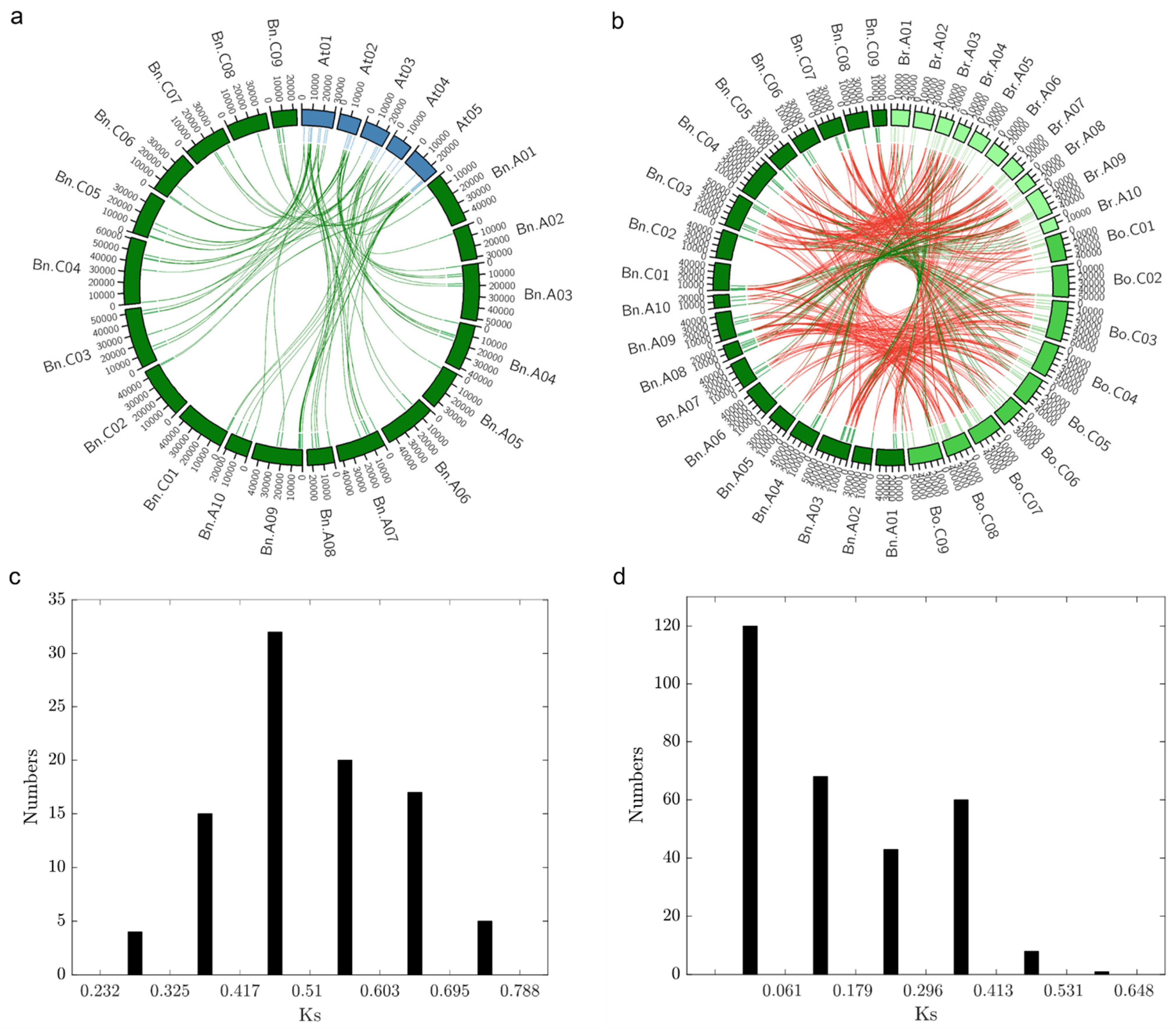 Plants 10 00709 g005 Plants 10 00709 g005