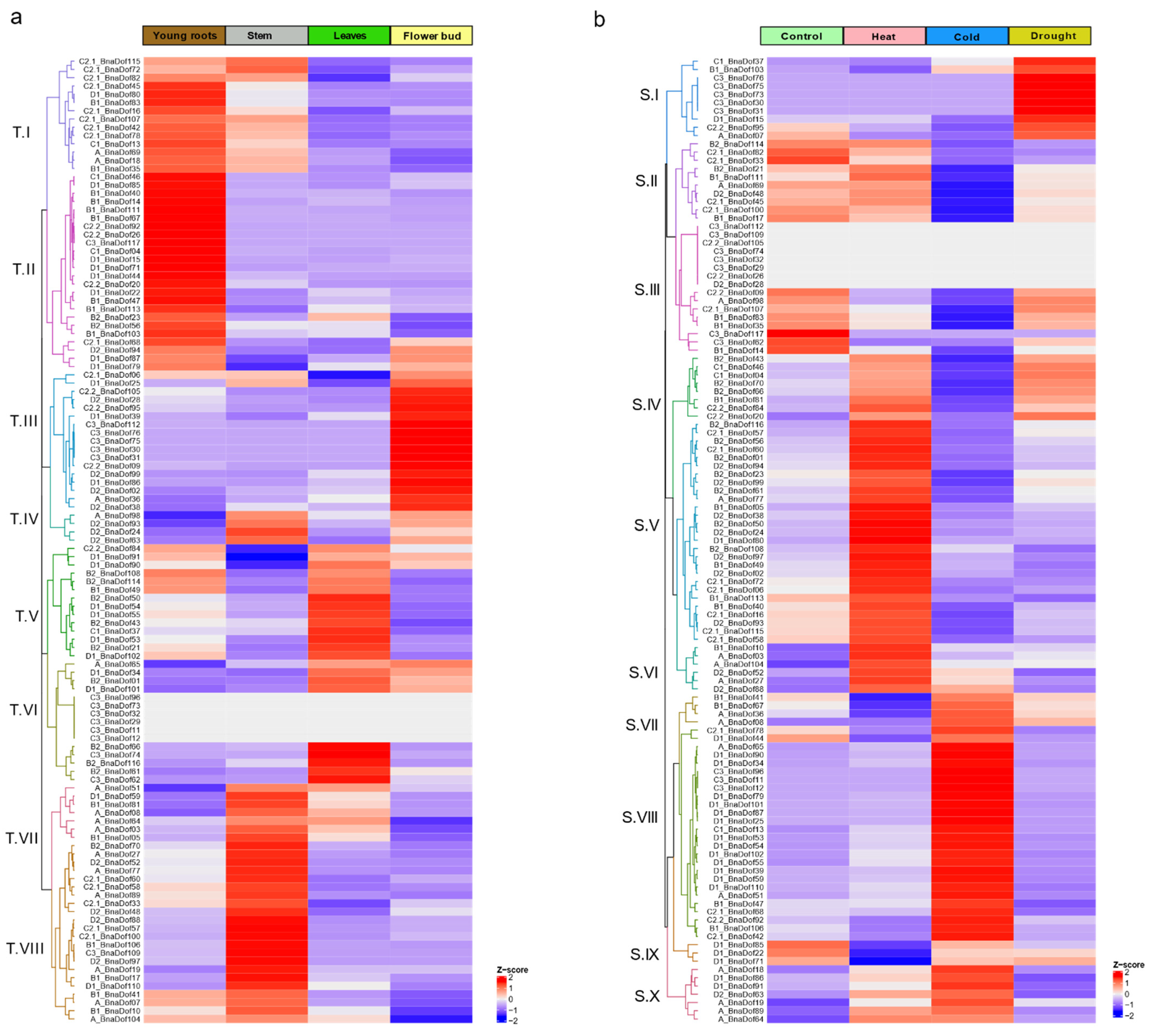 Plants 10 00709 g007 Plants 10 00709 g007