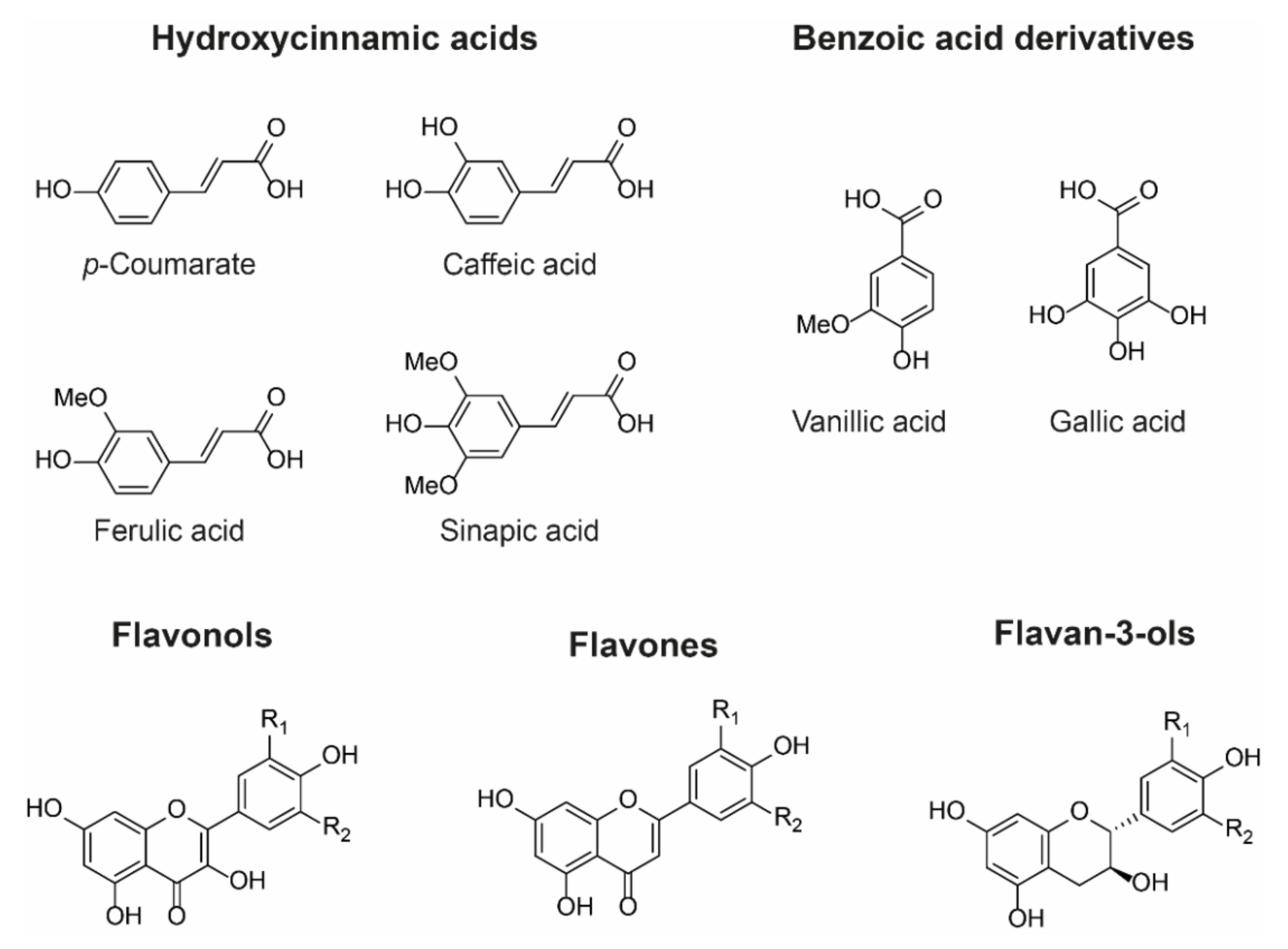 Plants 10 00726 g006