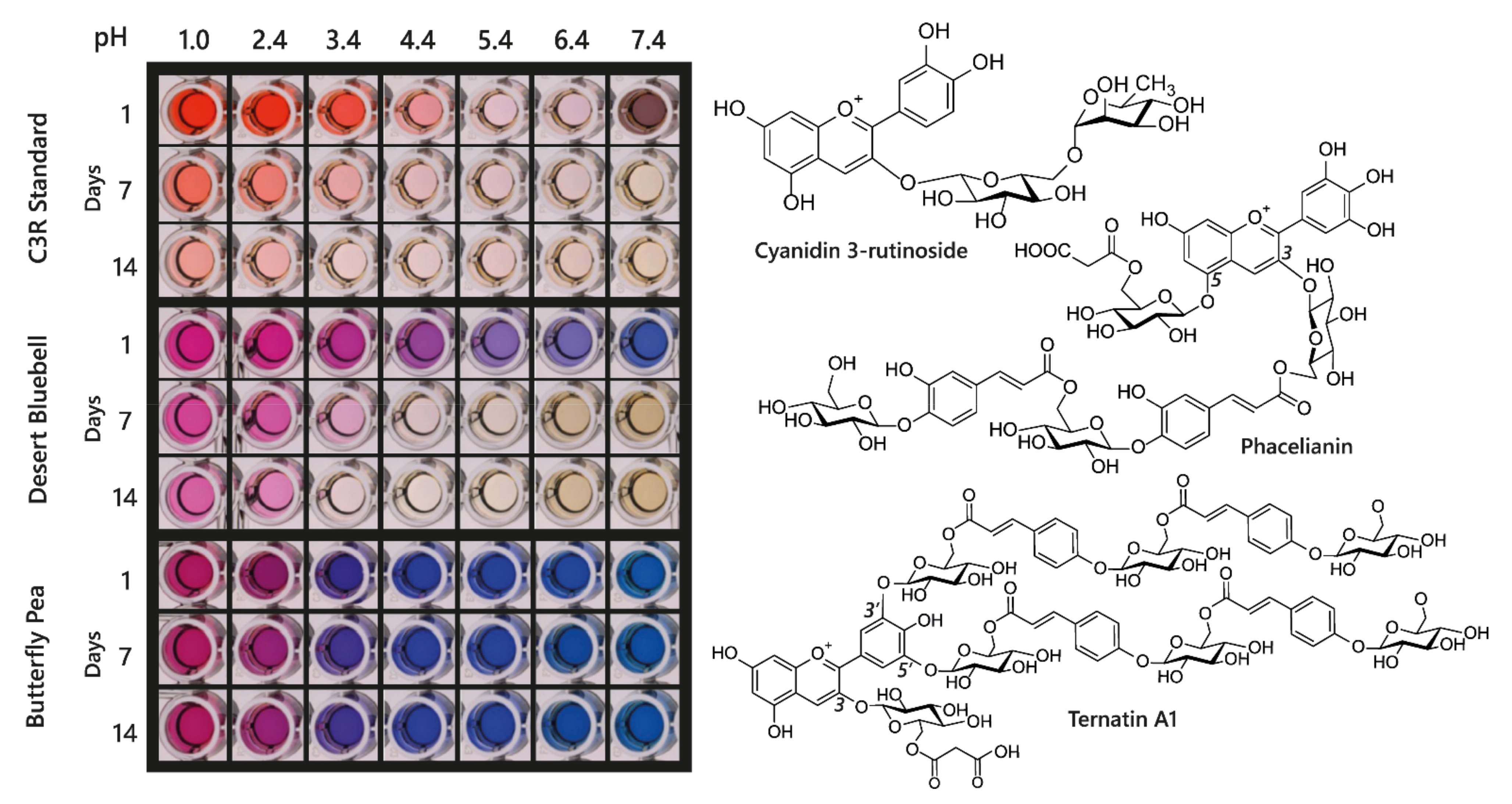 Plants 10 00726 g011