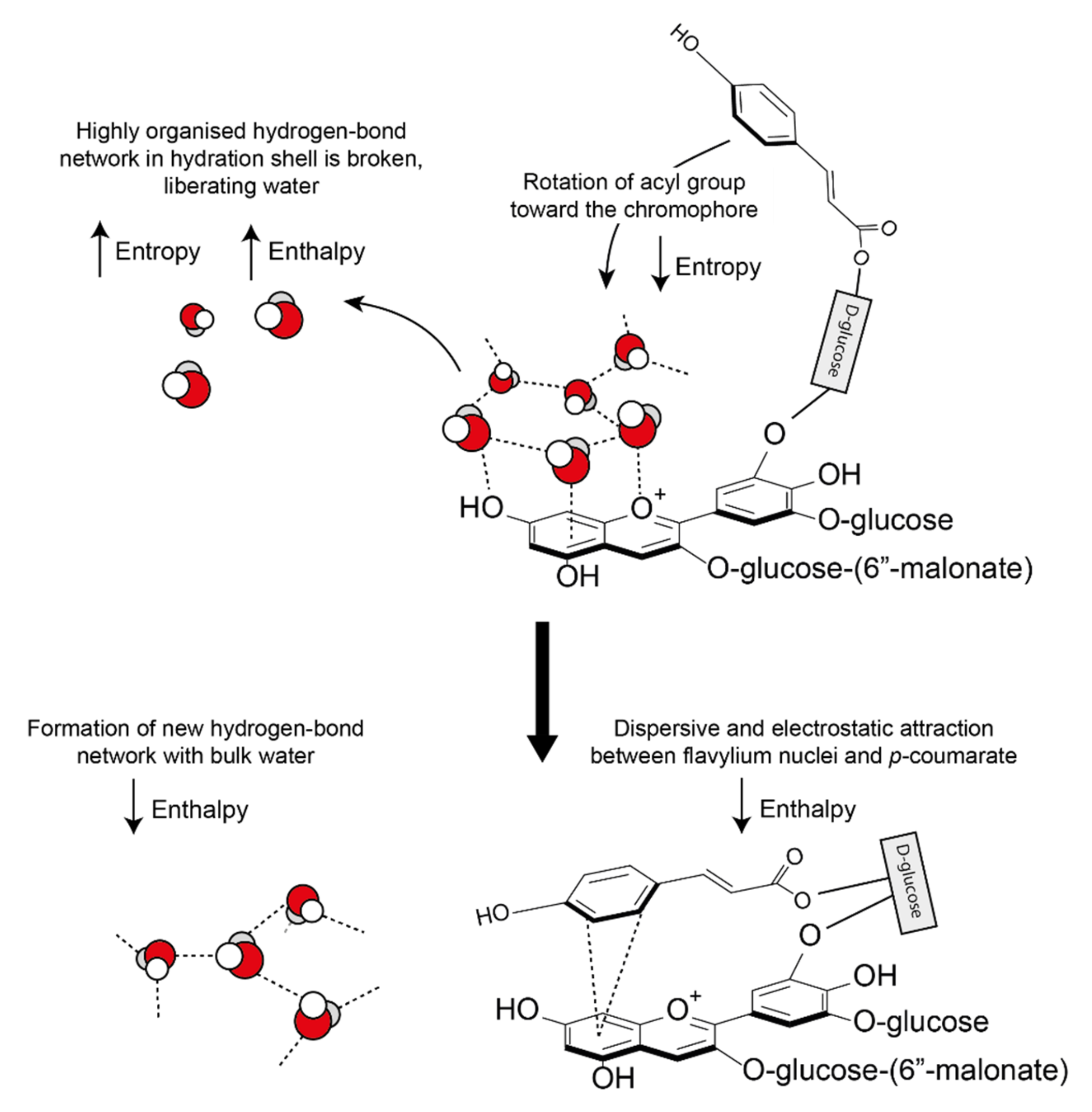 Plants 10 00726 g016