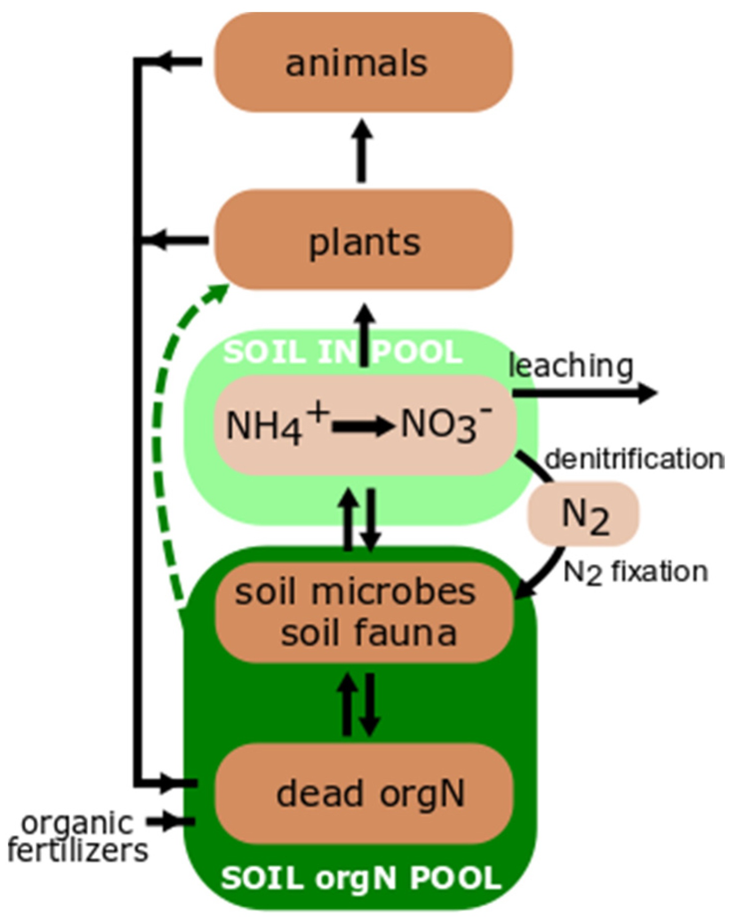 Plants | Free Full-Text | Root-Derived Proteases as a Plant Tool to Access Soil Organic Nitrogen; Current Stage of Knowledge and Controversies Plants | Free Full-Text | Root-Derived Proteases as a Plant Tool to Access Soil Organic Nitrogen; Current Stage of Knowledge and Controversies