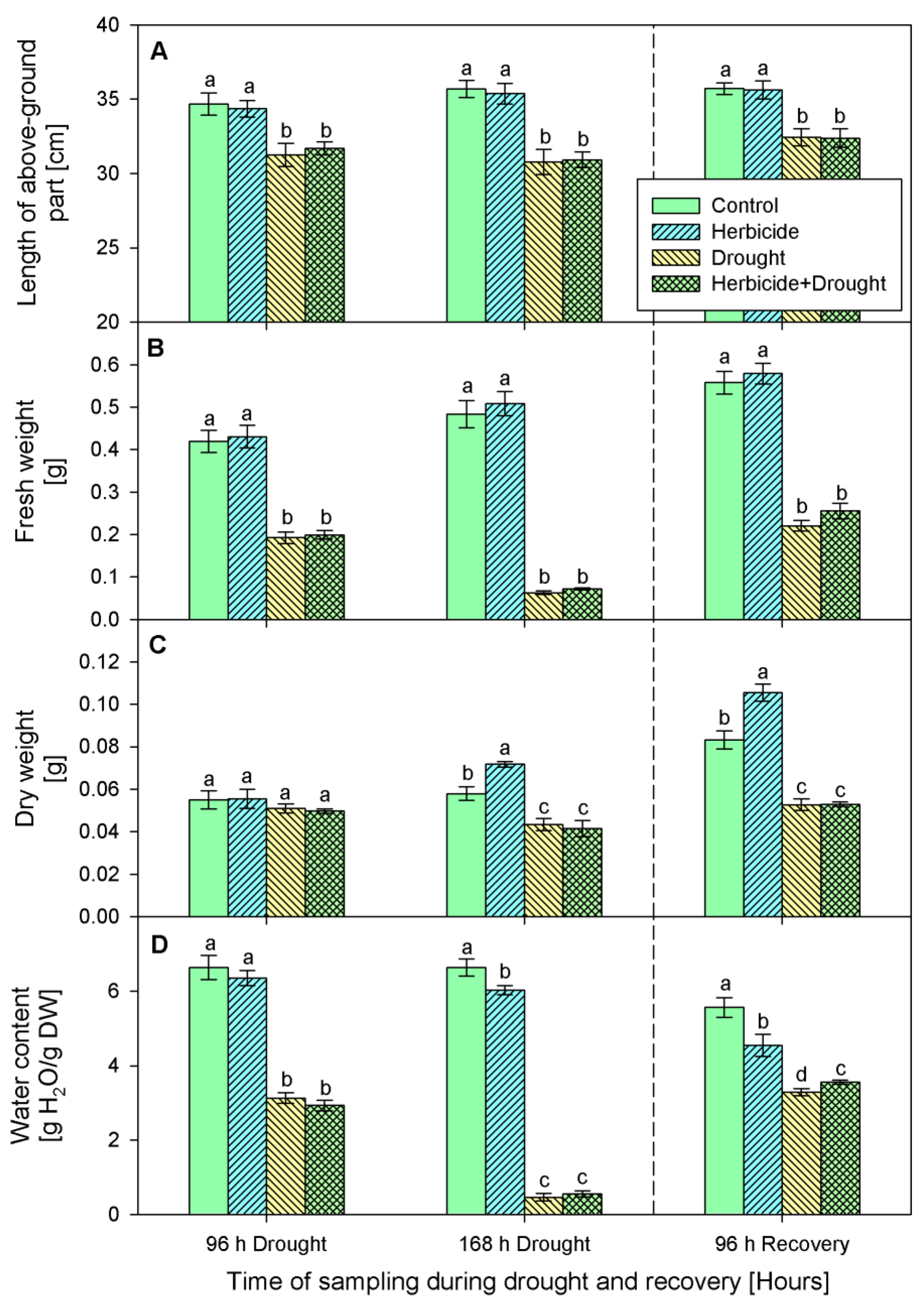 Plants 10 00733 g002