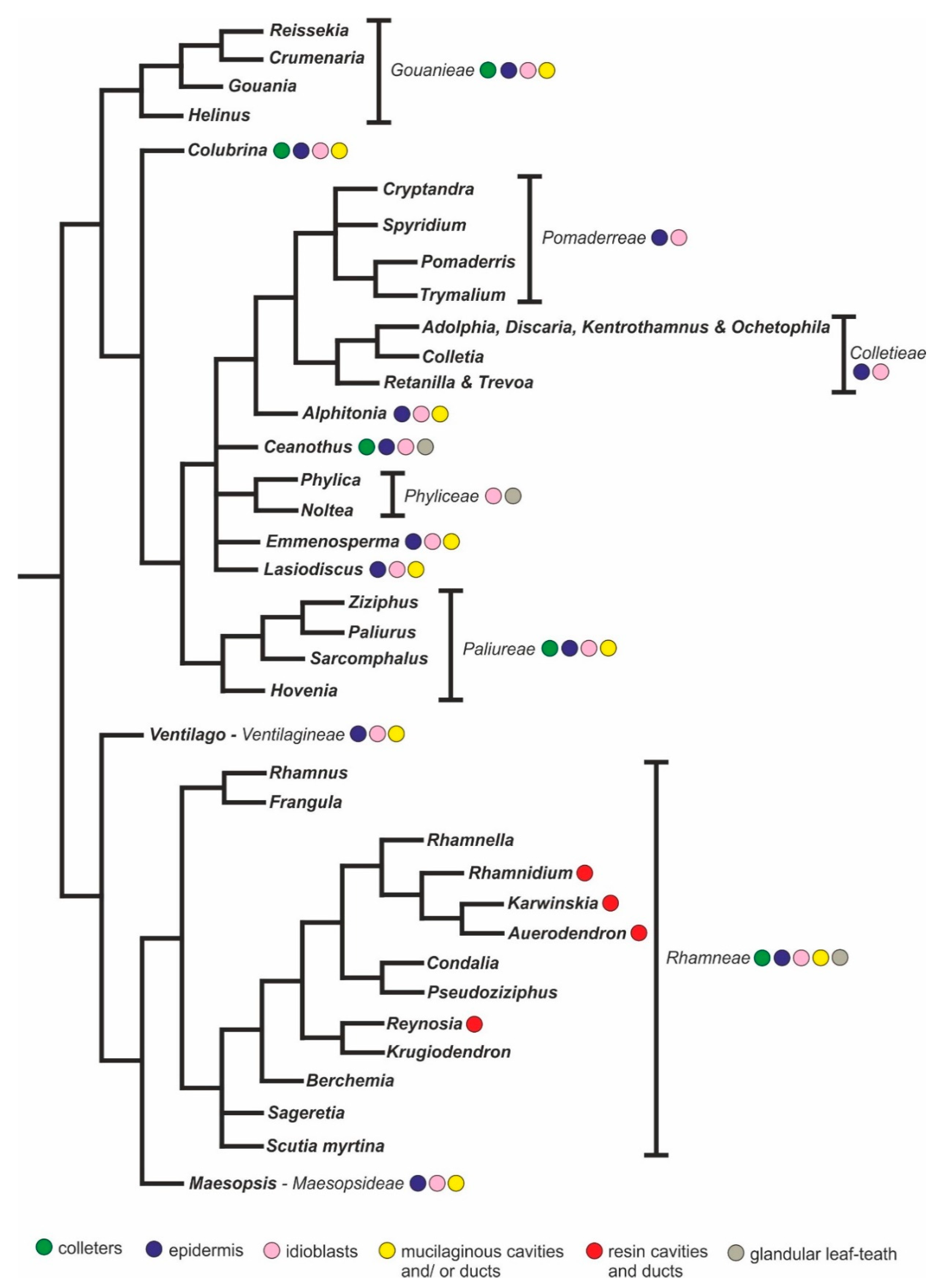 Plants 10 00736 g006