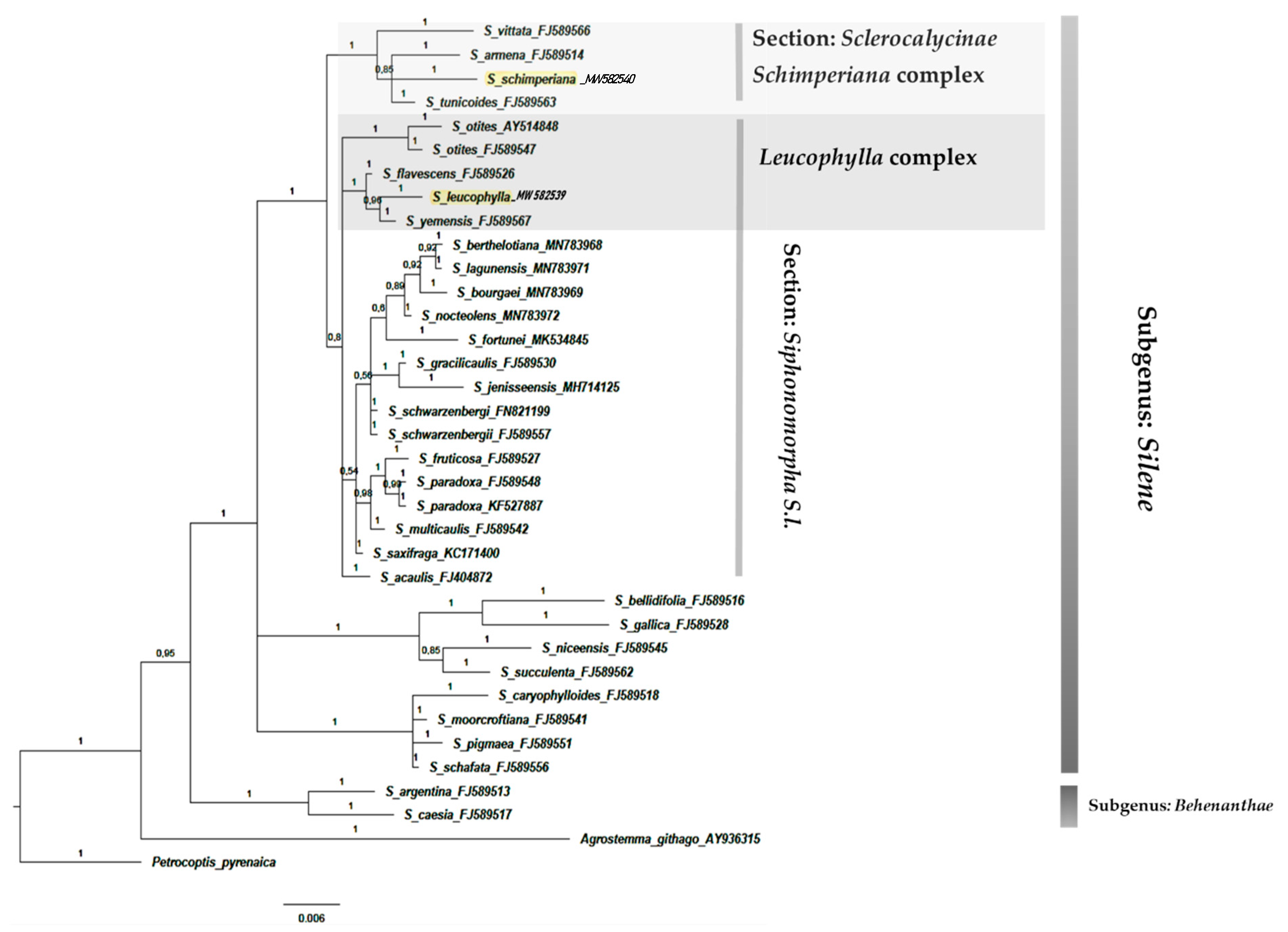 Plants 10 00740 g009