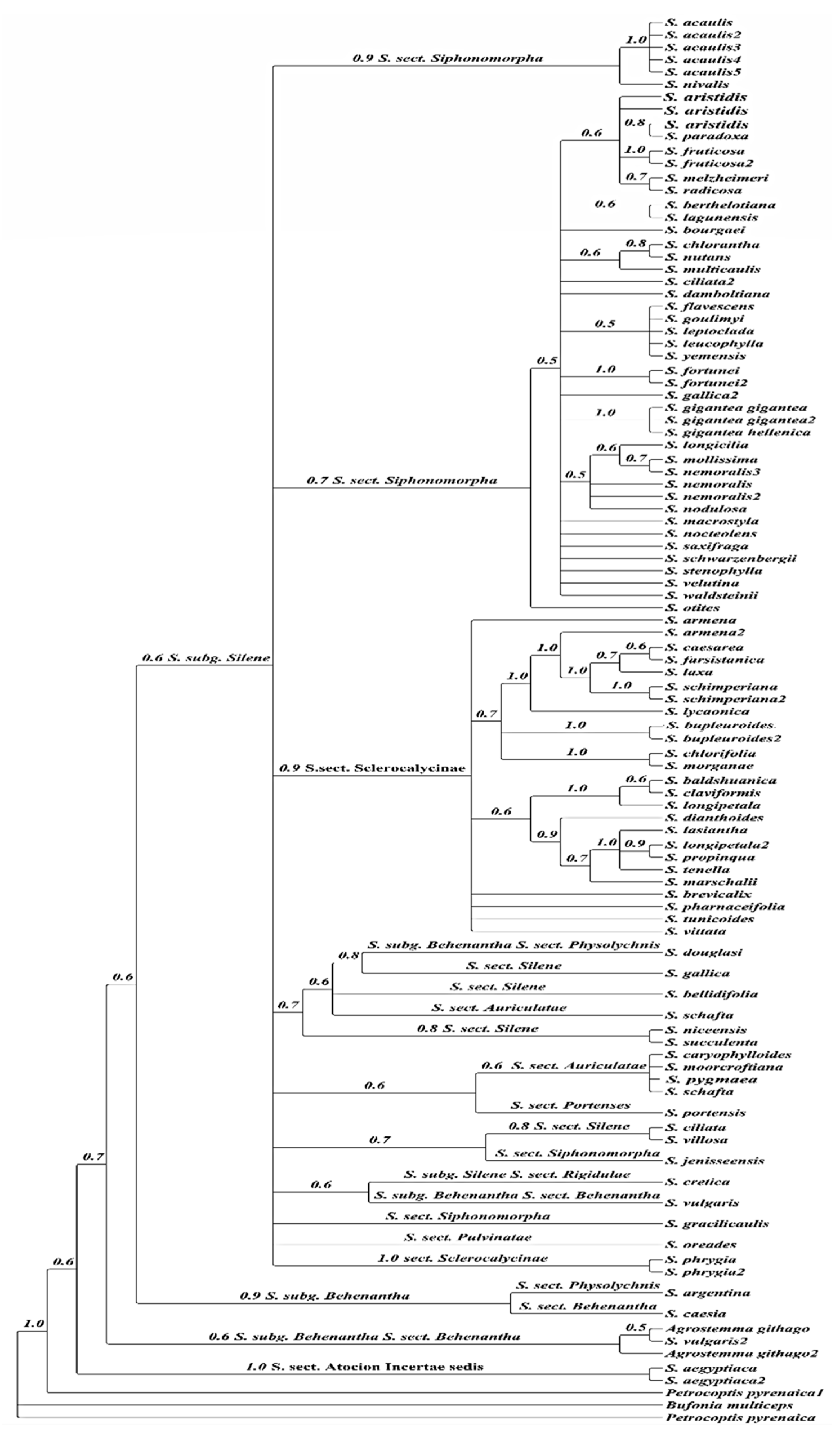 Plants 10 00740 g012