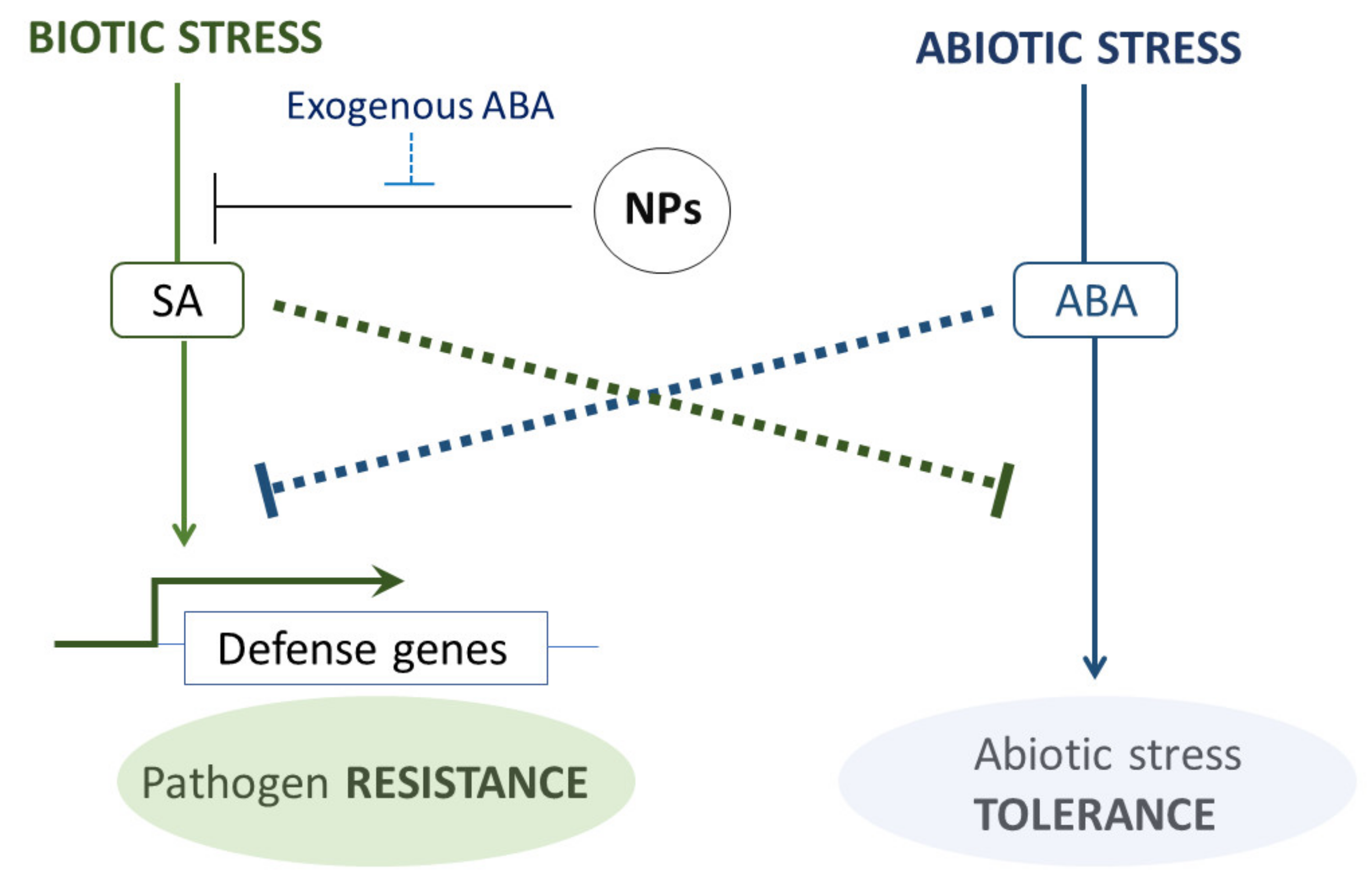 Plants 10 00751 g006 Plants 10 00751 g006