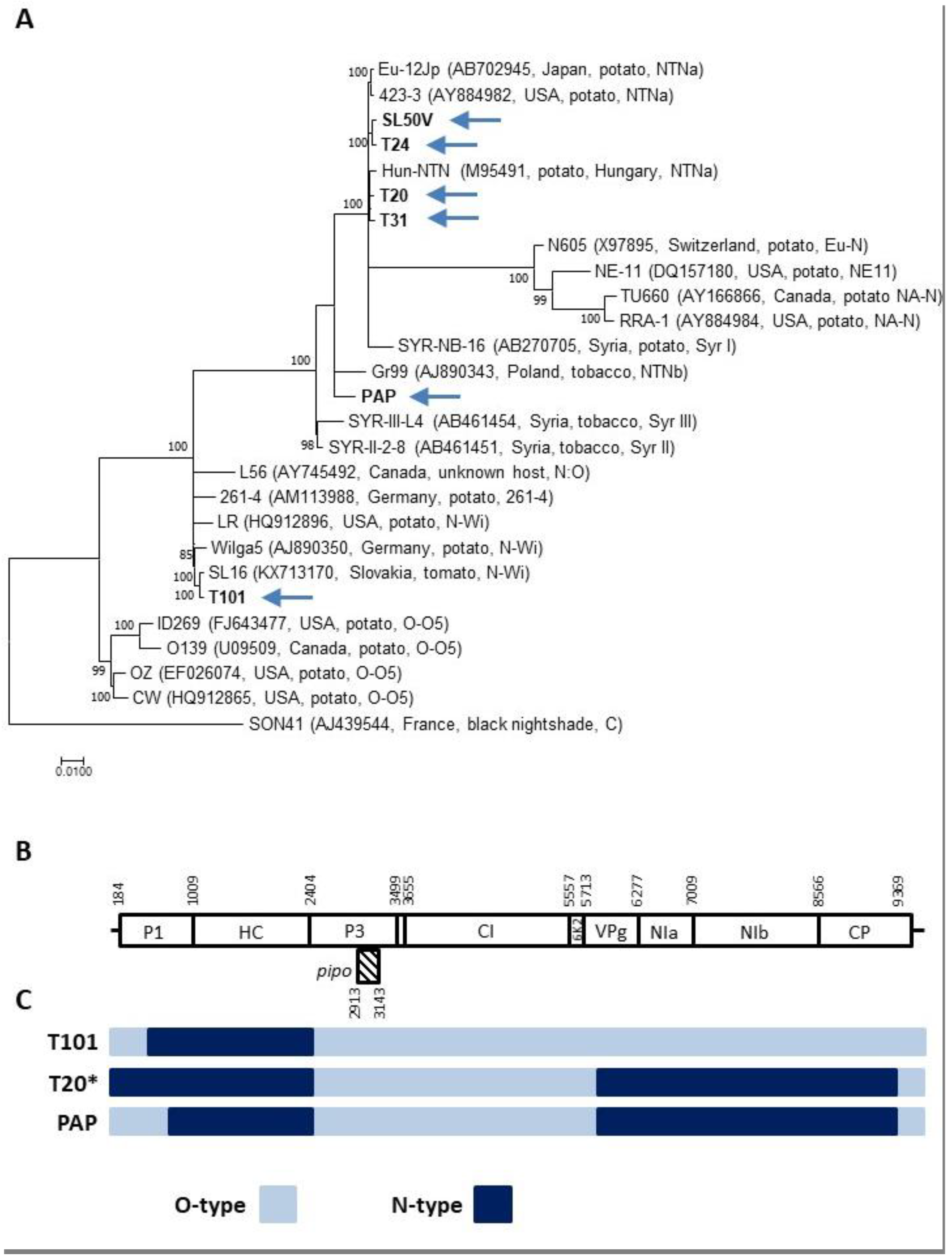Plants 10 00753 g001 Plants 10 00753 g001