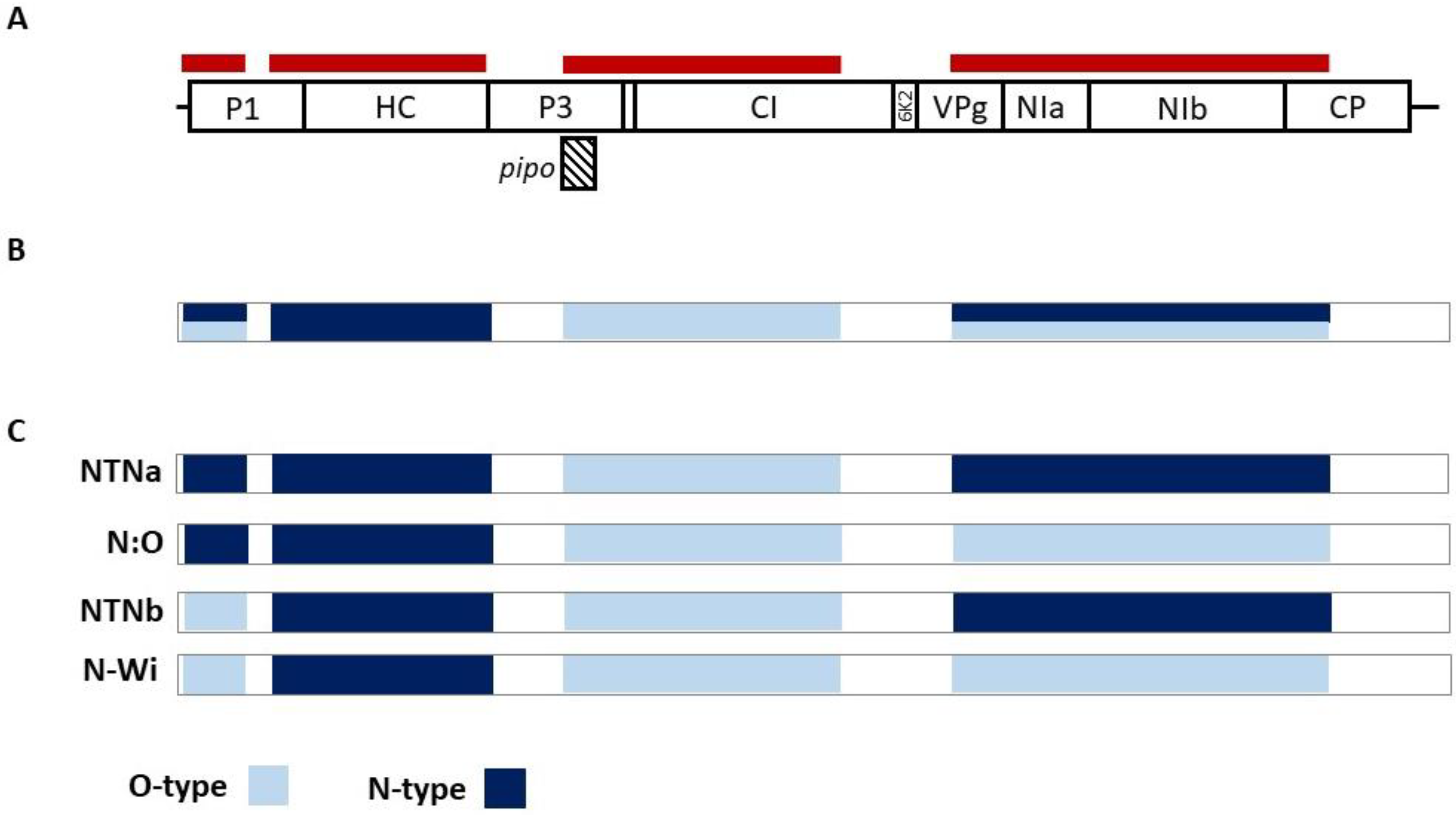 Plants 10 00753 g002 Plants 10 00753 g002